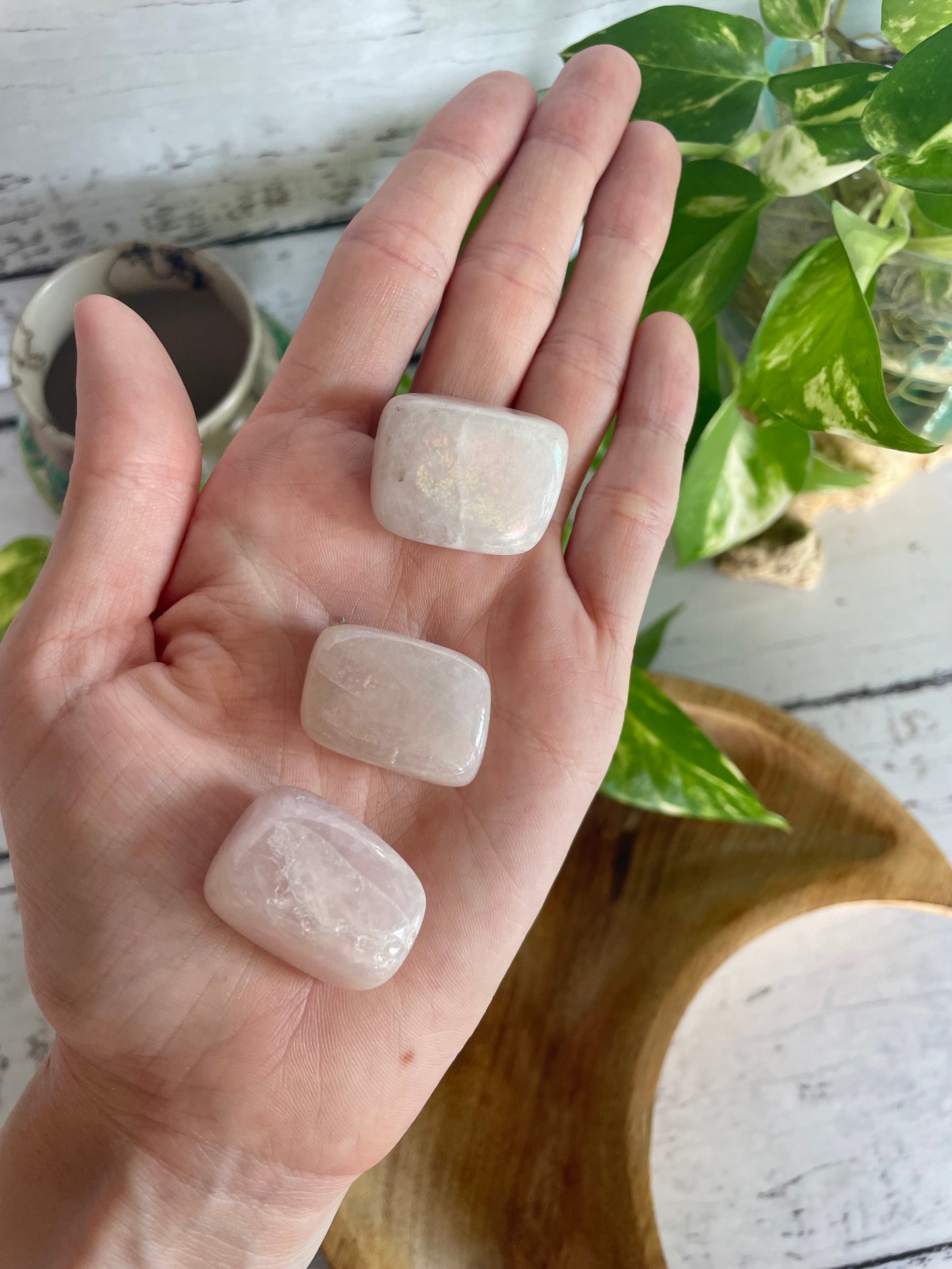 Rose Quartz Aura Tumble Stones