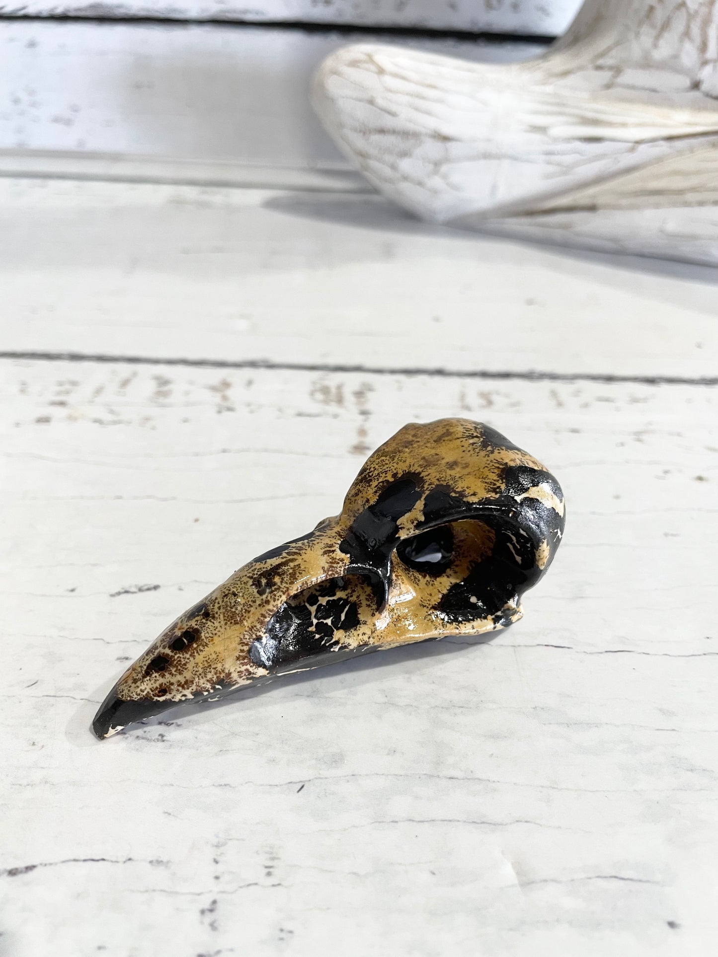 Picture Jasper Raven Skull ~ 7