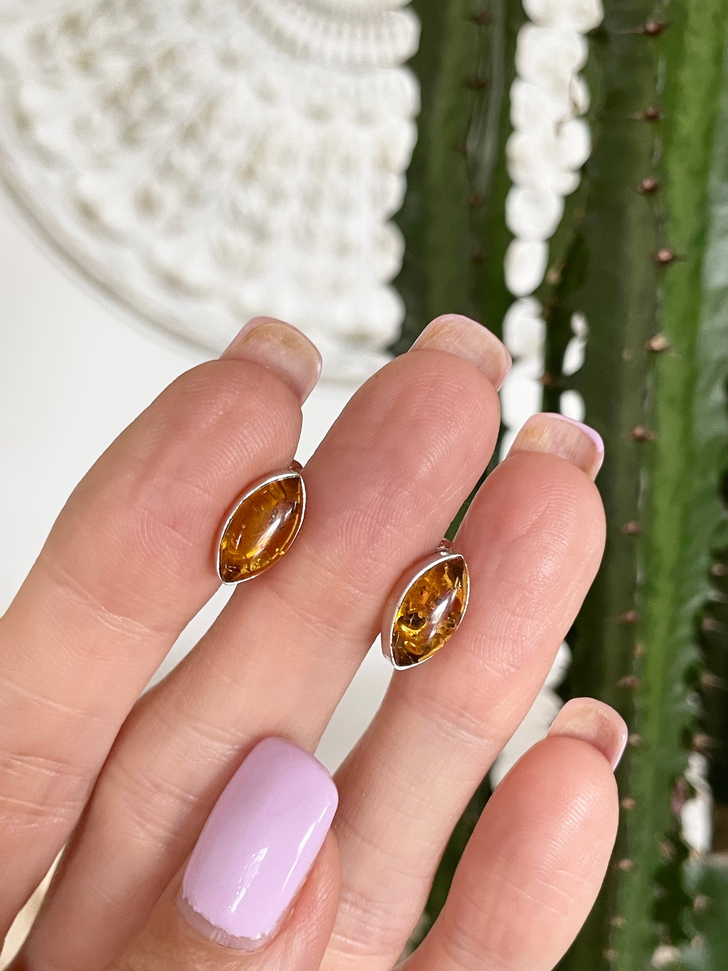 Amber Studs