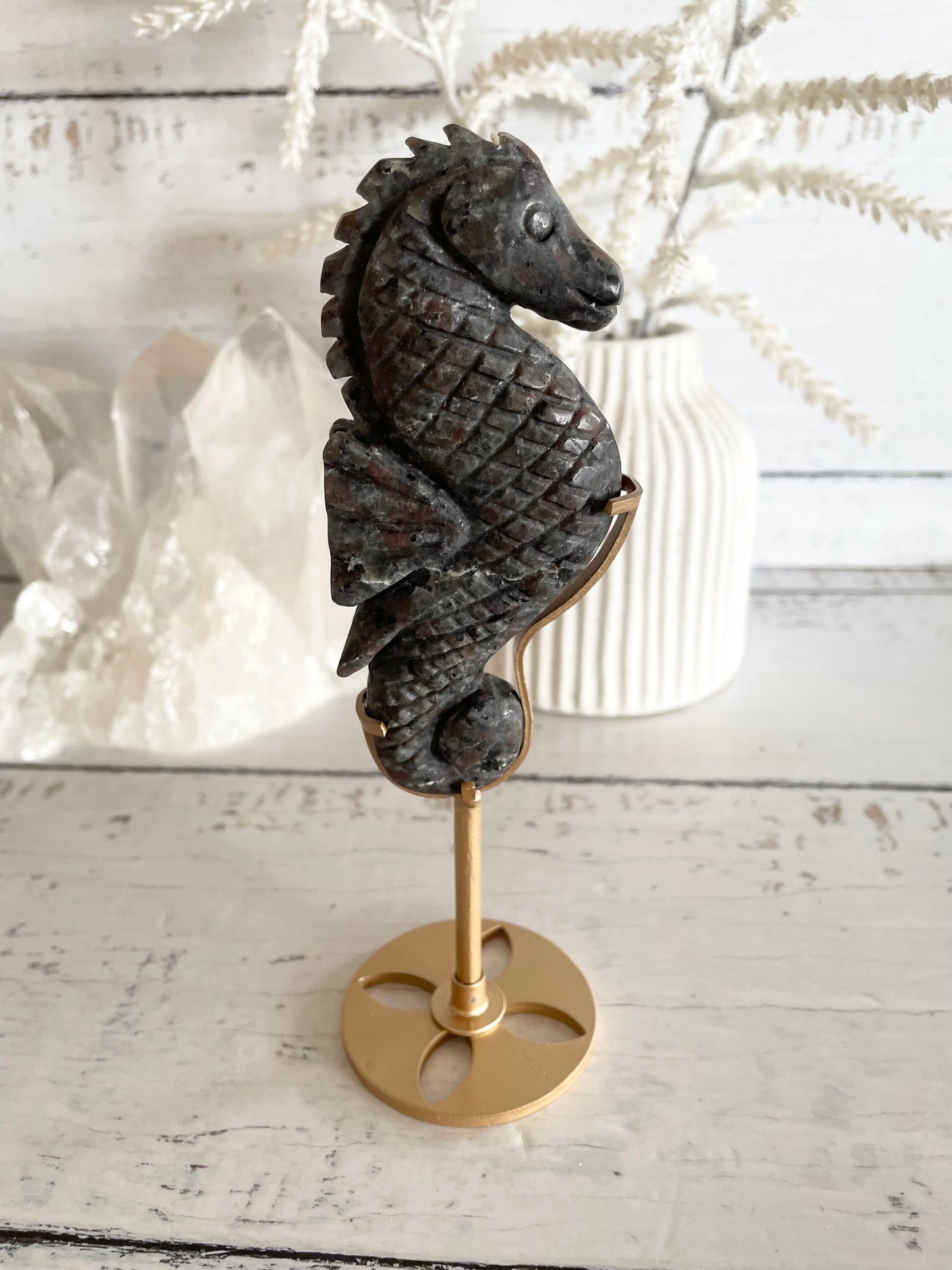 Seahorse ~ Jasper