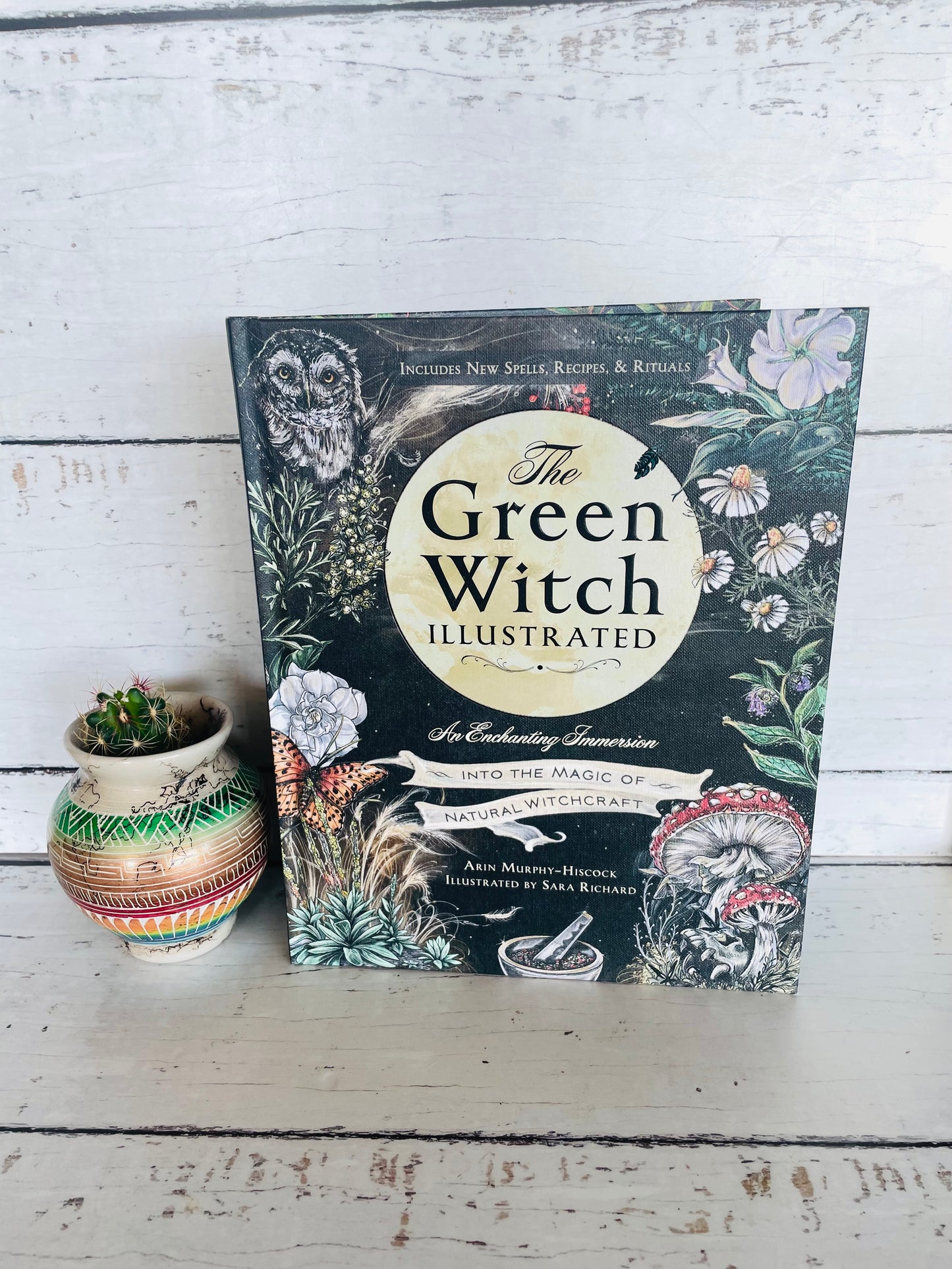 The Green Witch Illustrated