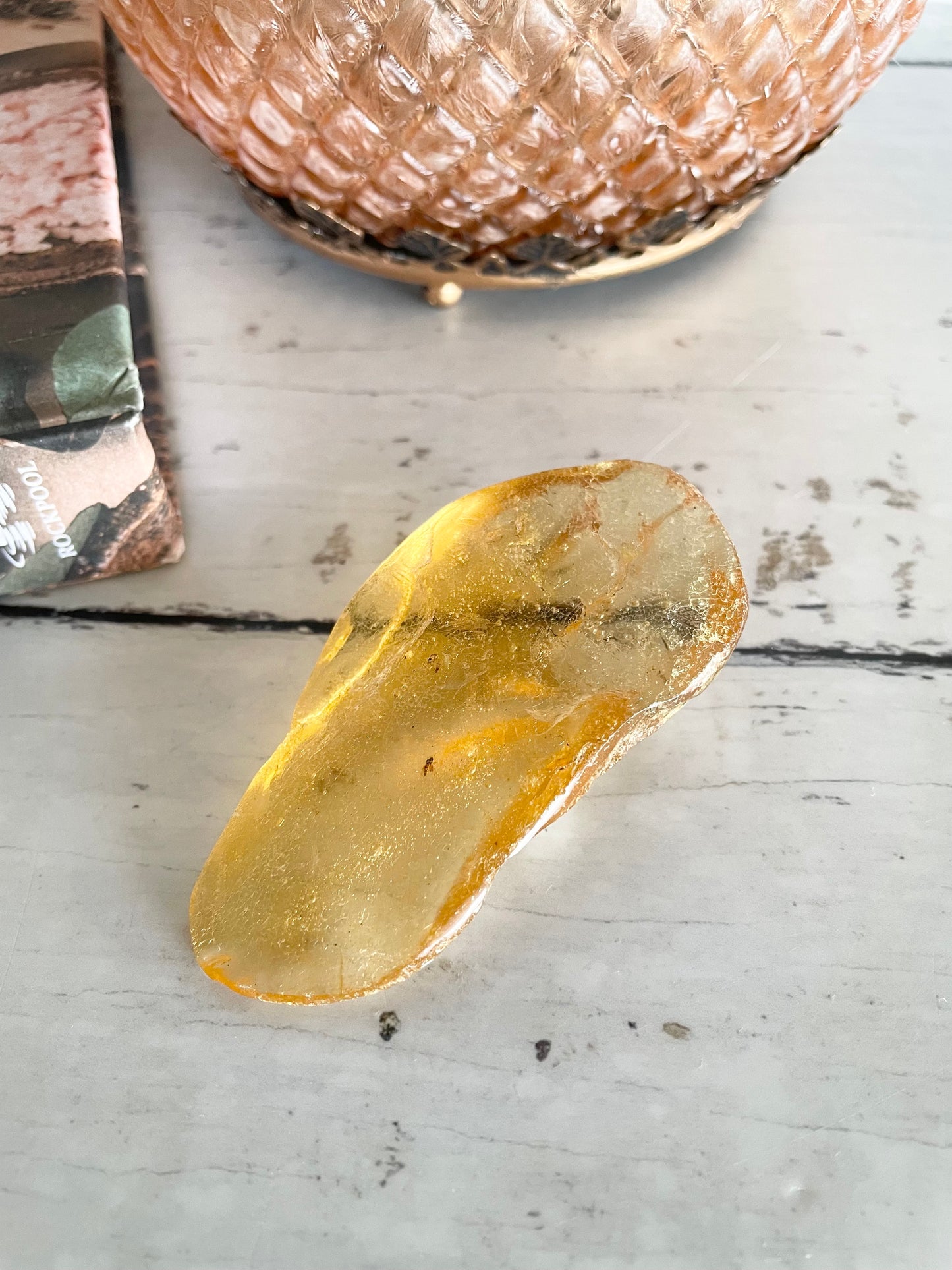 Copal Fossil ~ (young amber) Colombia