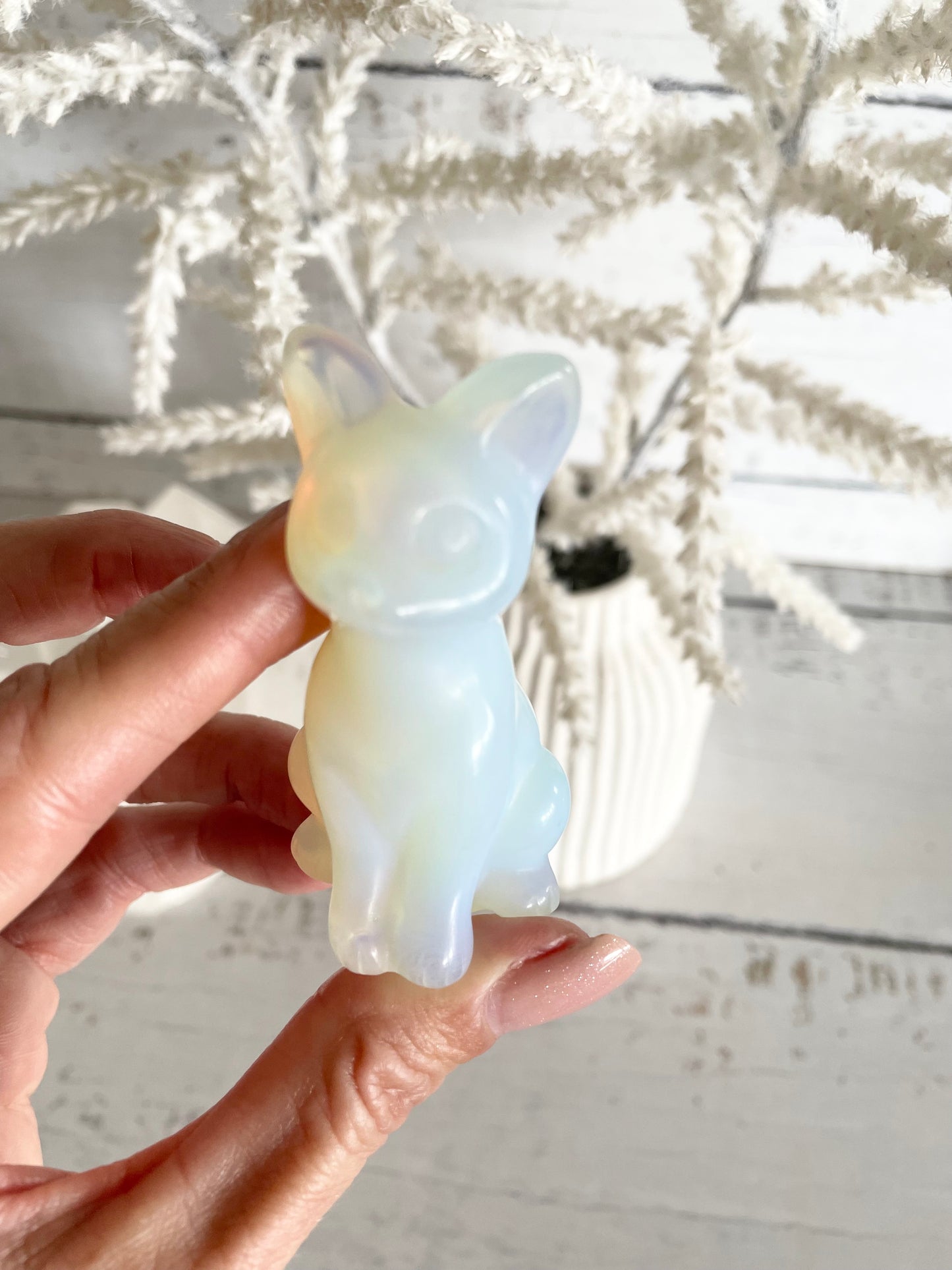 Cat - Opalite