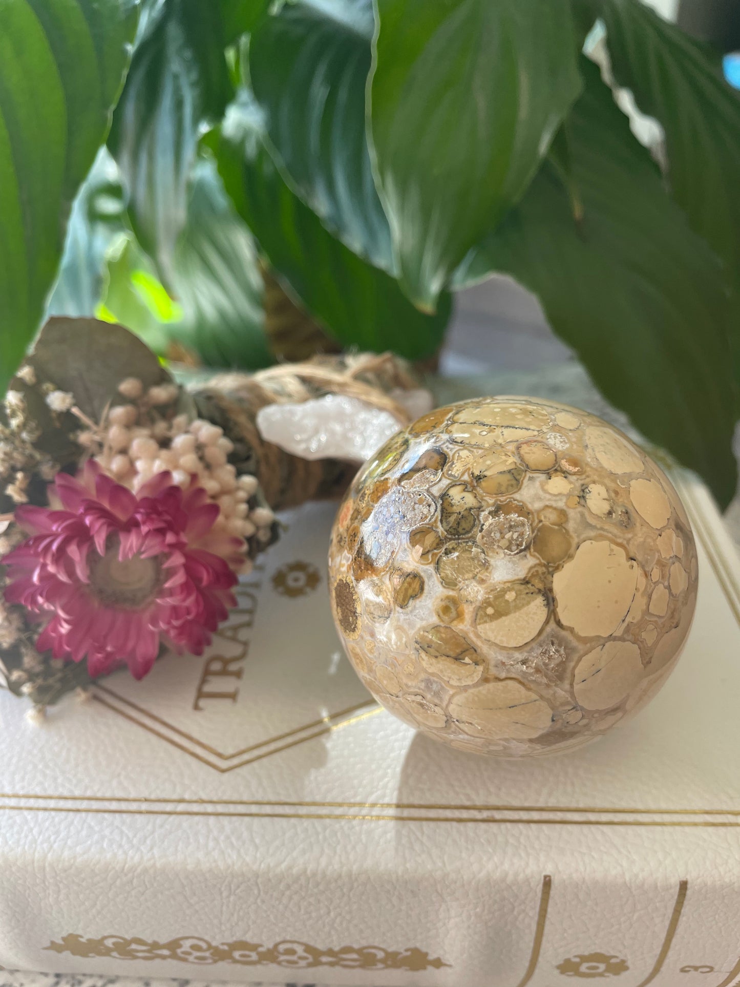 Spotted Agate Sphere Includes Holder