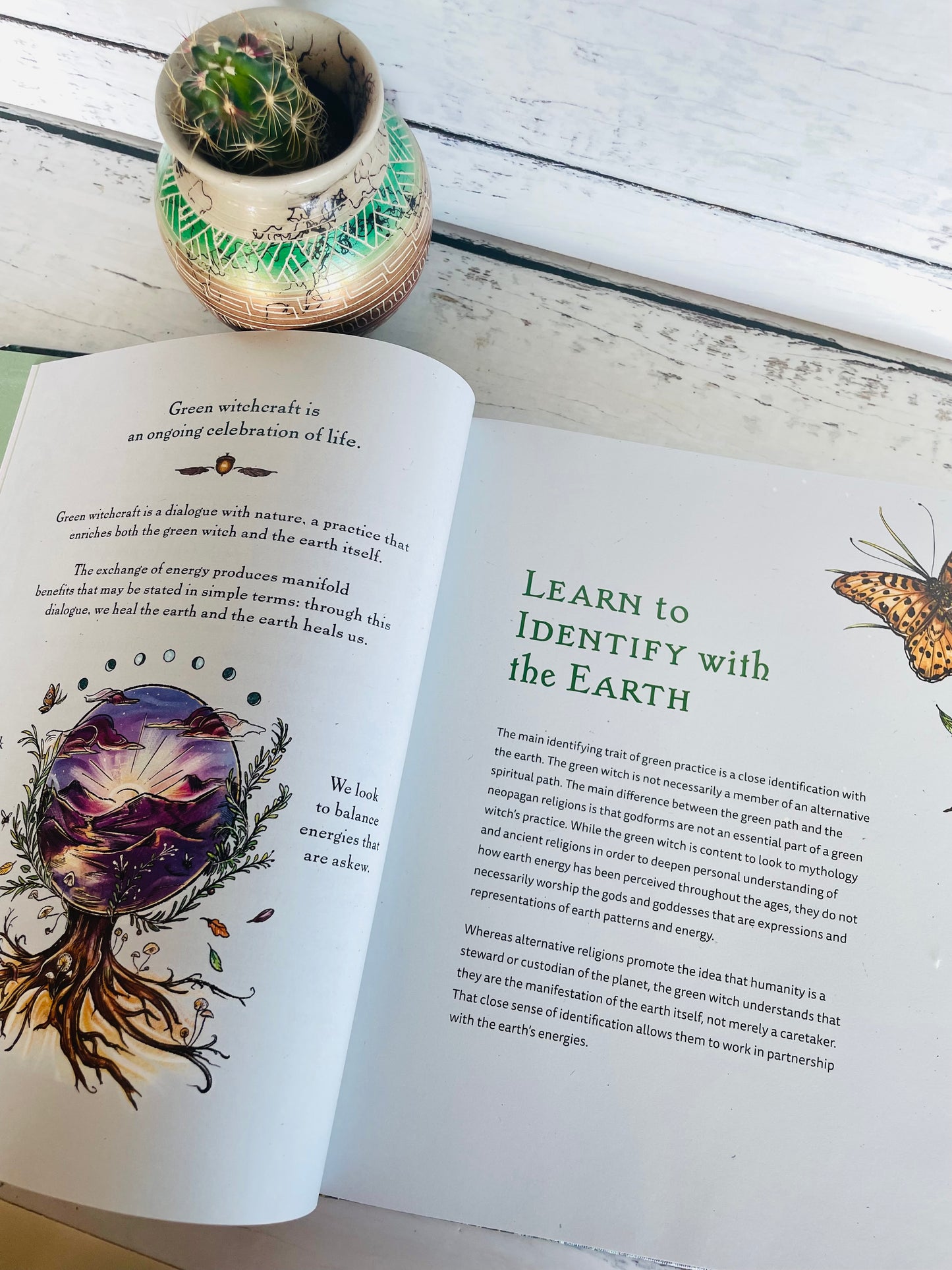 The Green Witch Illustrated