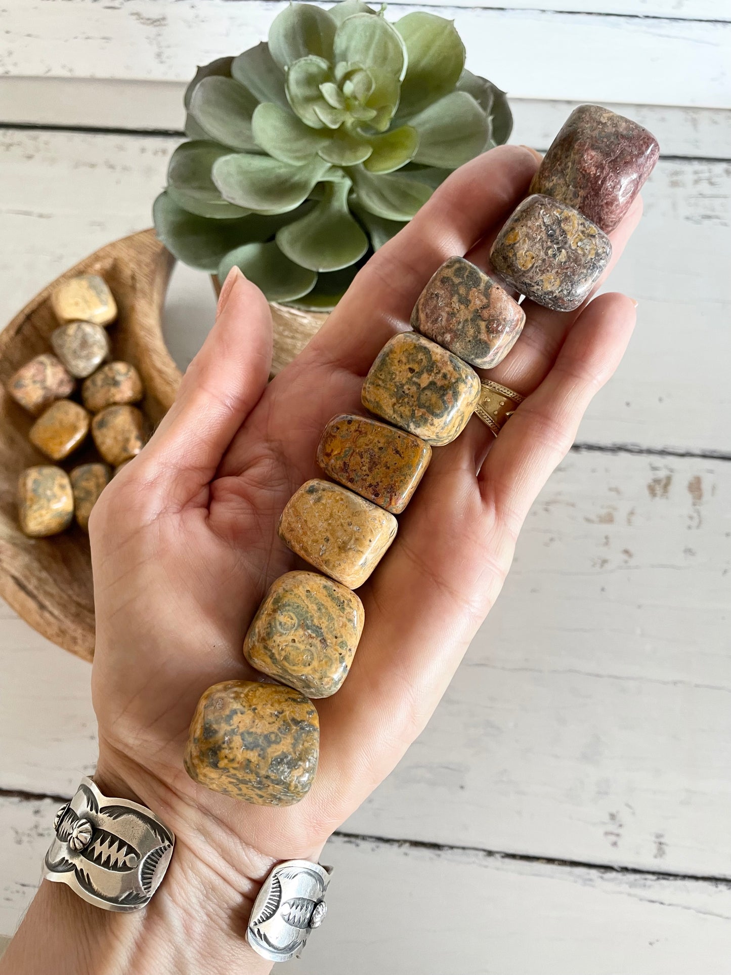 Leopard skin Jasper Tumble Stones