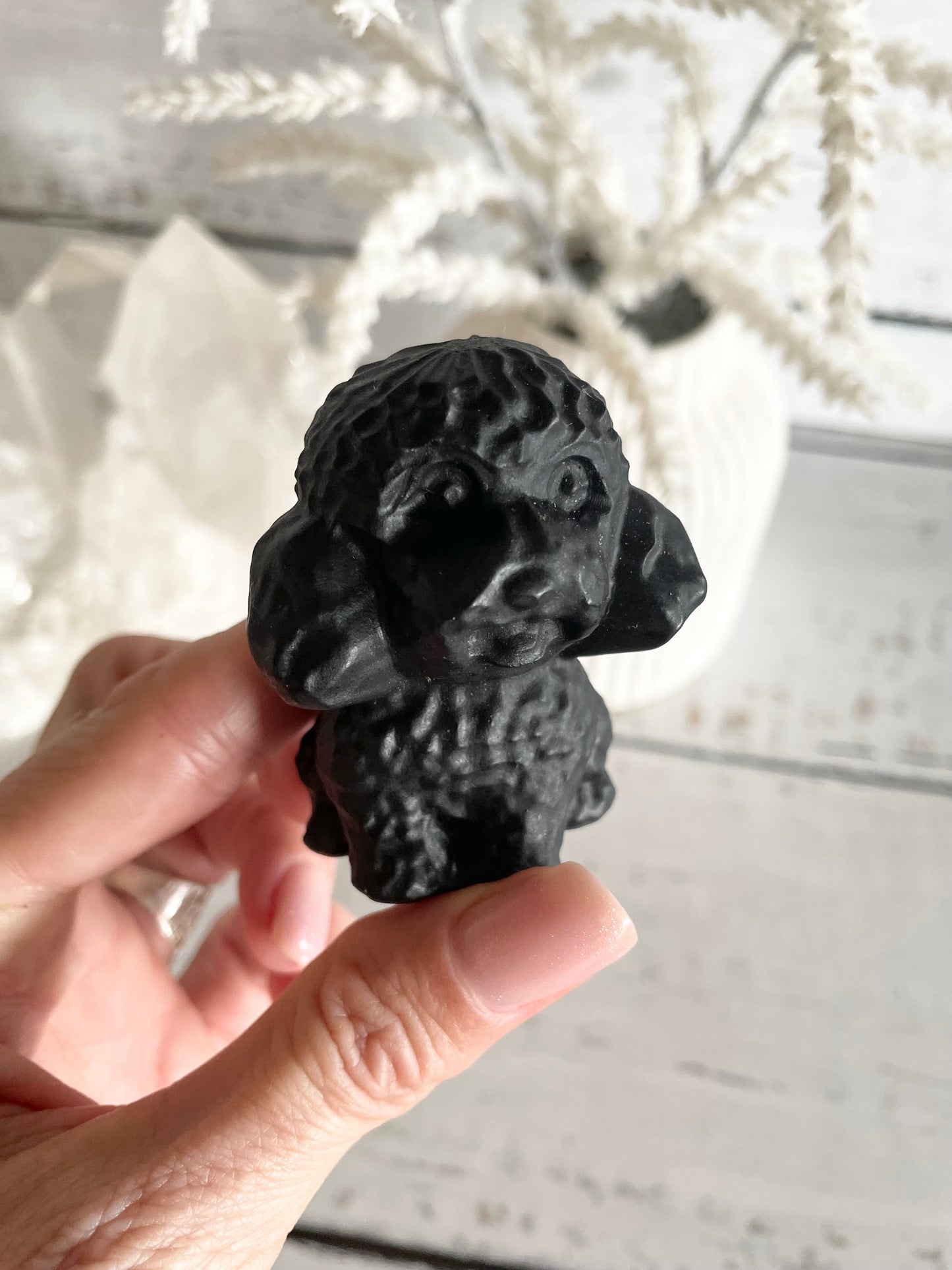 Black Obsidian Dog ~ Poodle (super clever)