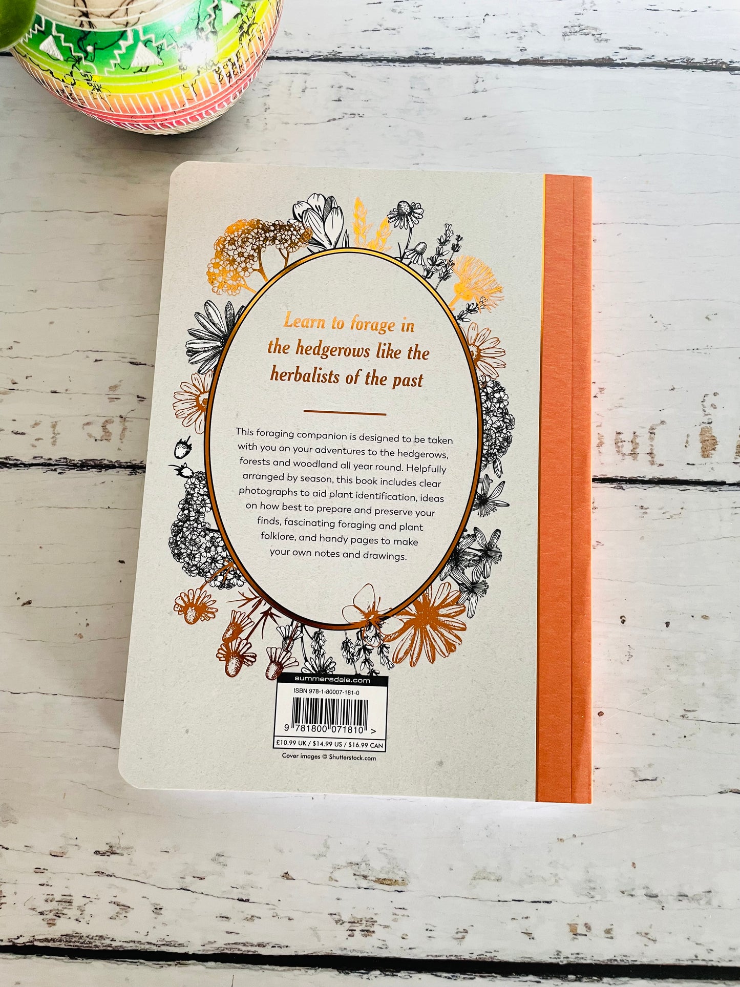 The Hedgerow Apothecary Forager's Handbook