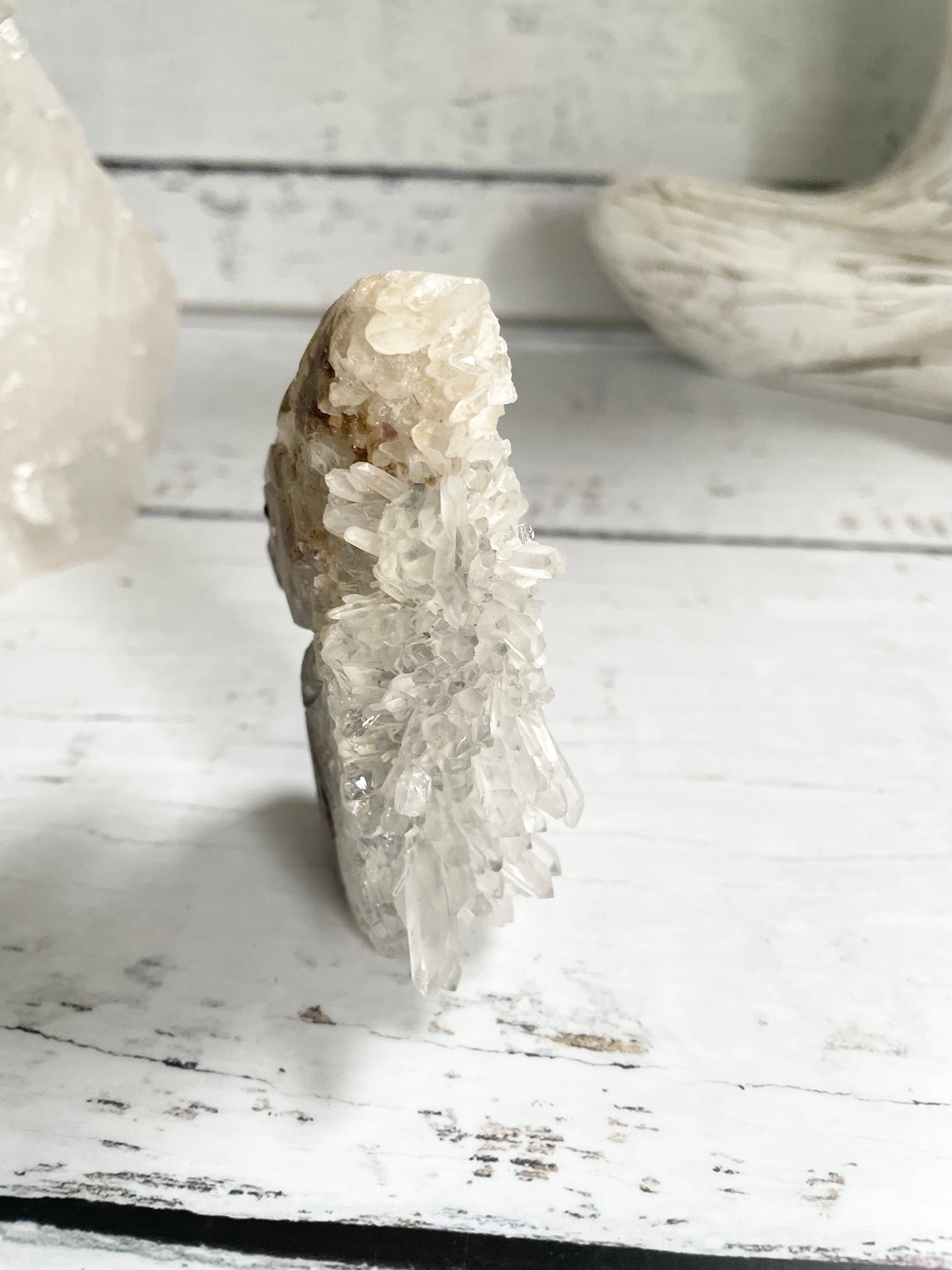Quartz Sea Horse ~ 20