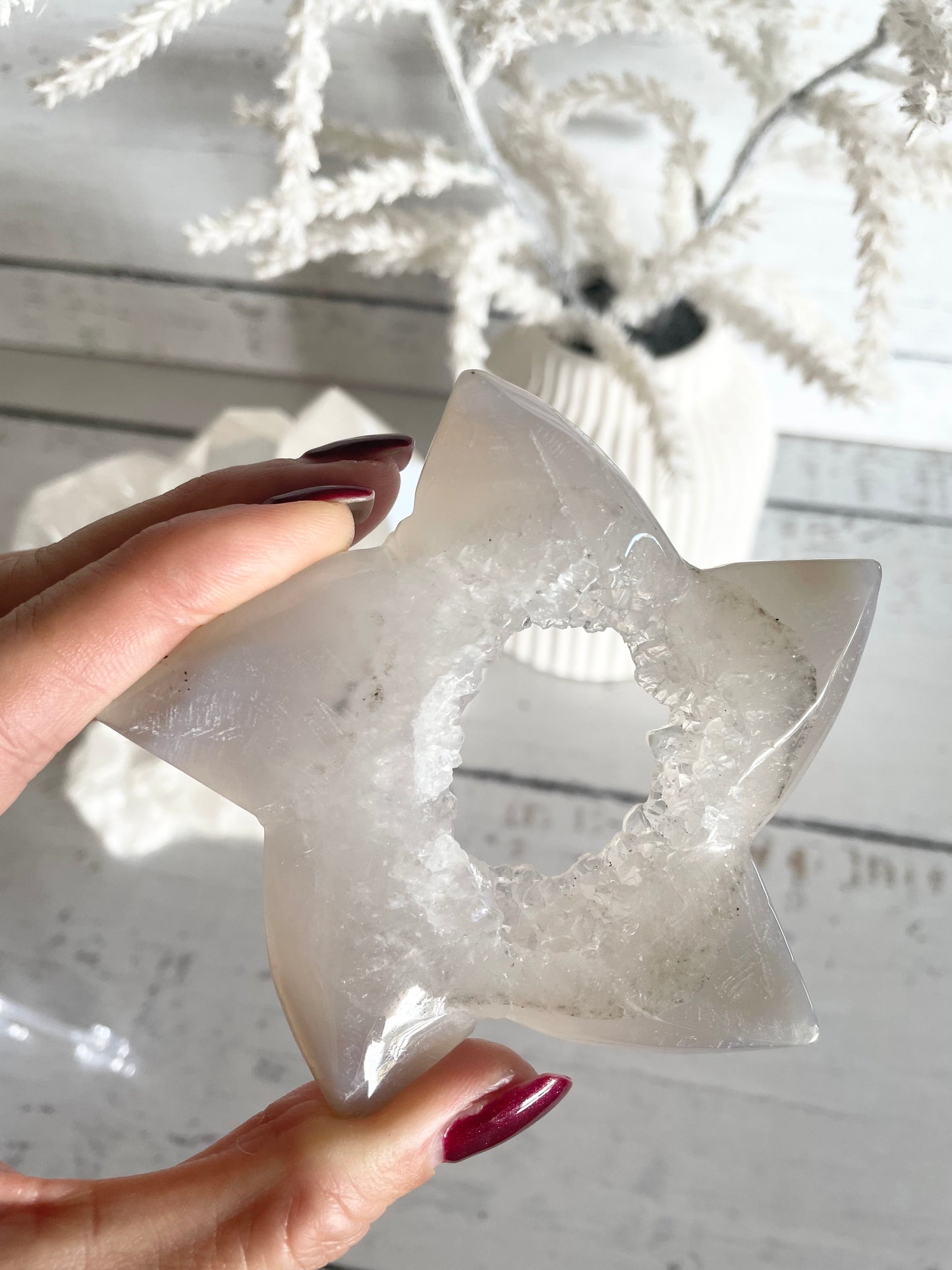 Natural Agate ~ Sea Star