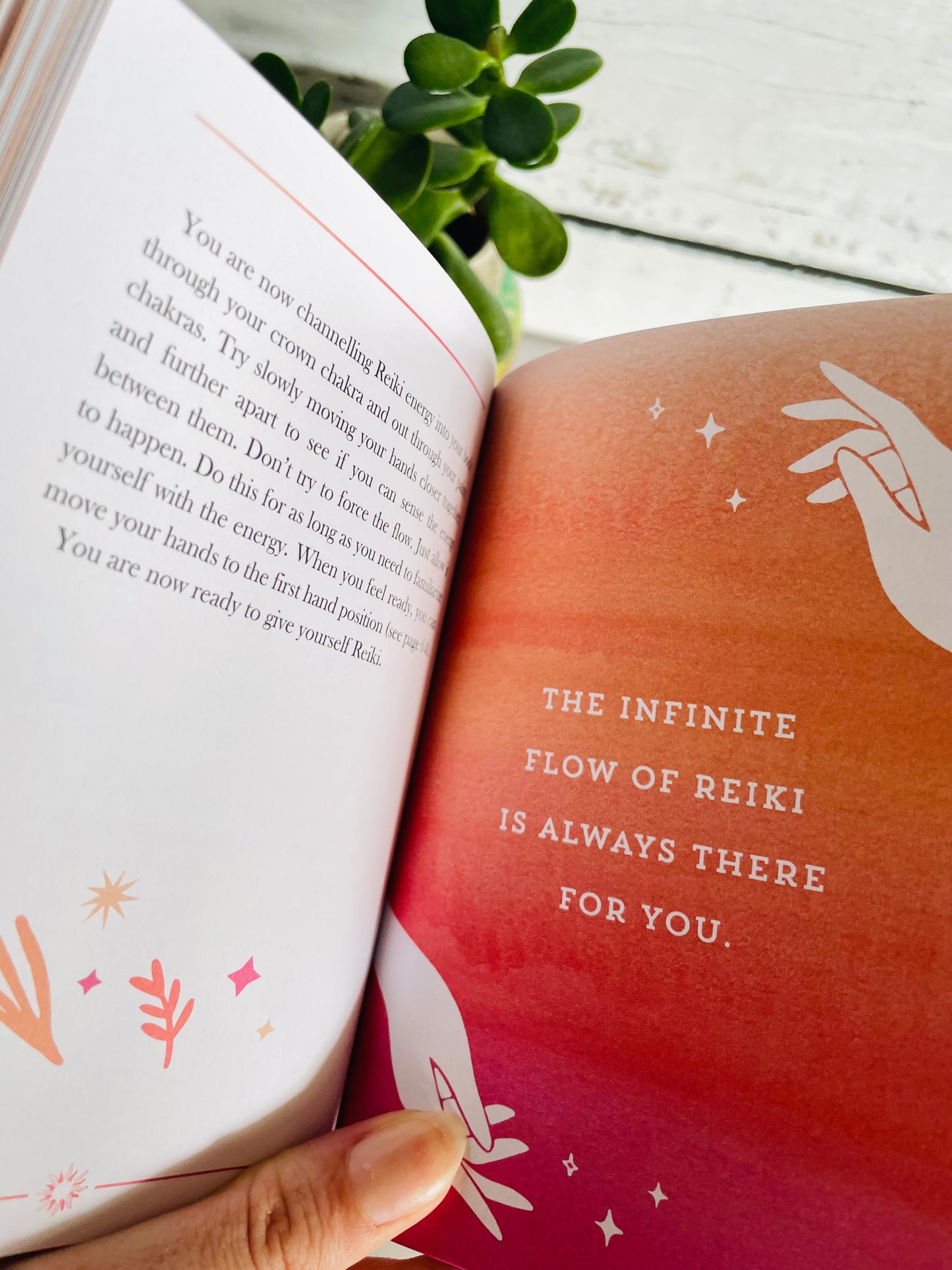 The Little Book of Reiki