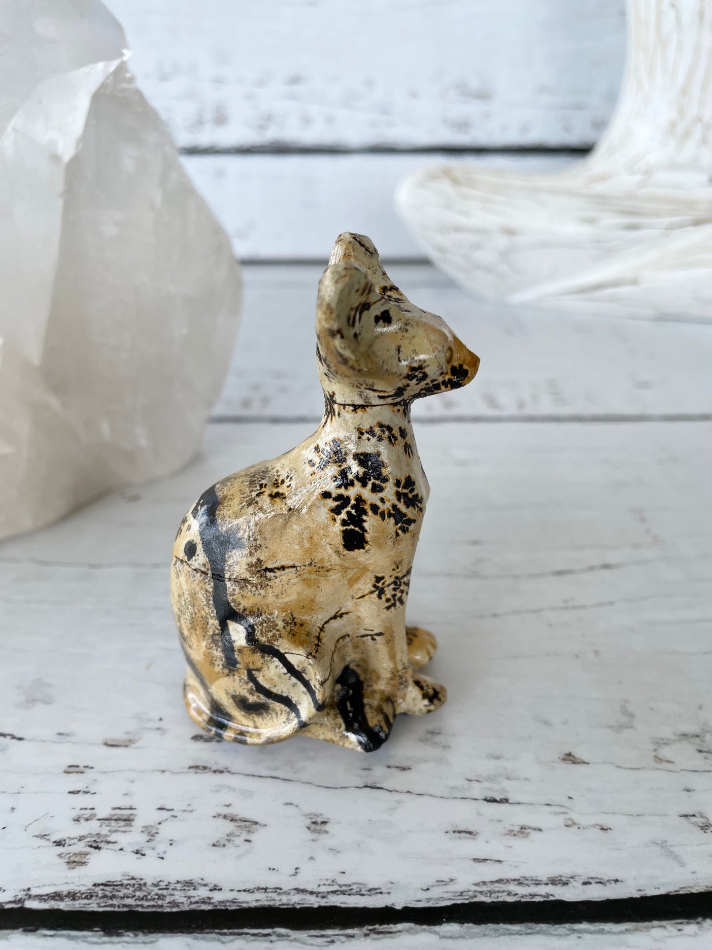 Picture Jasper Spinx Cat ~ 7