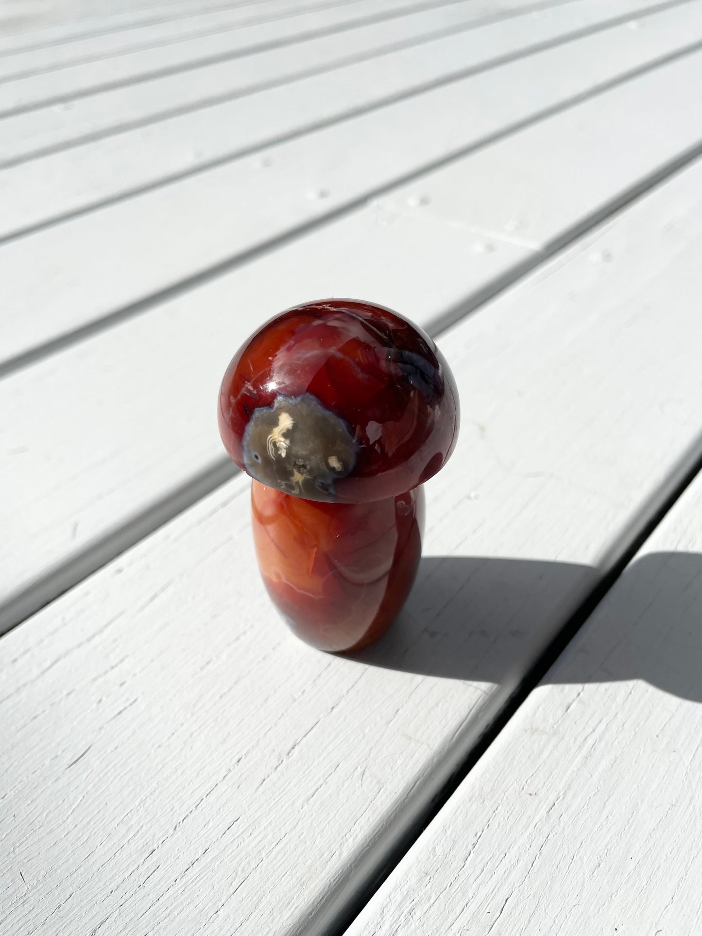 Carnelian Mushroom