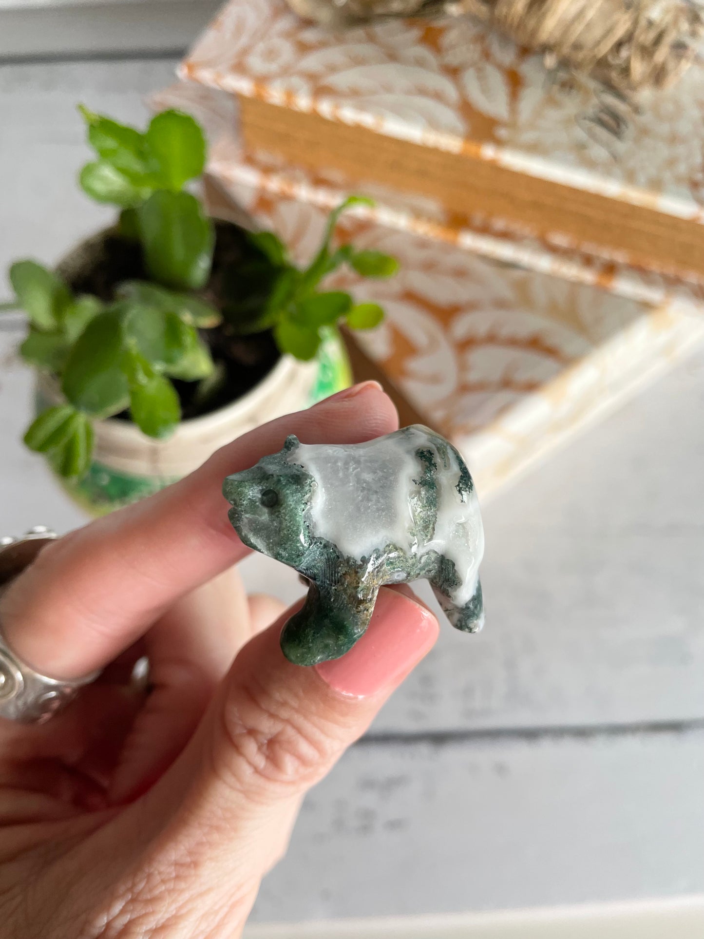 Tree Agate Bear