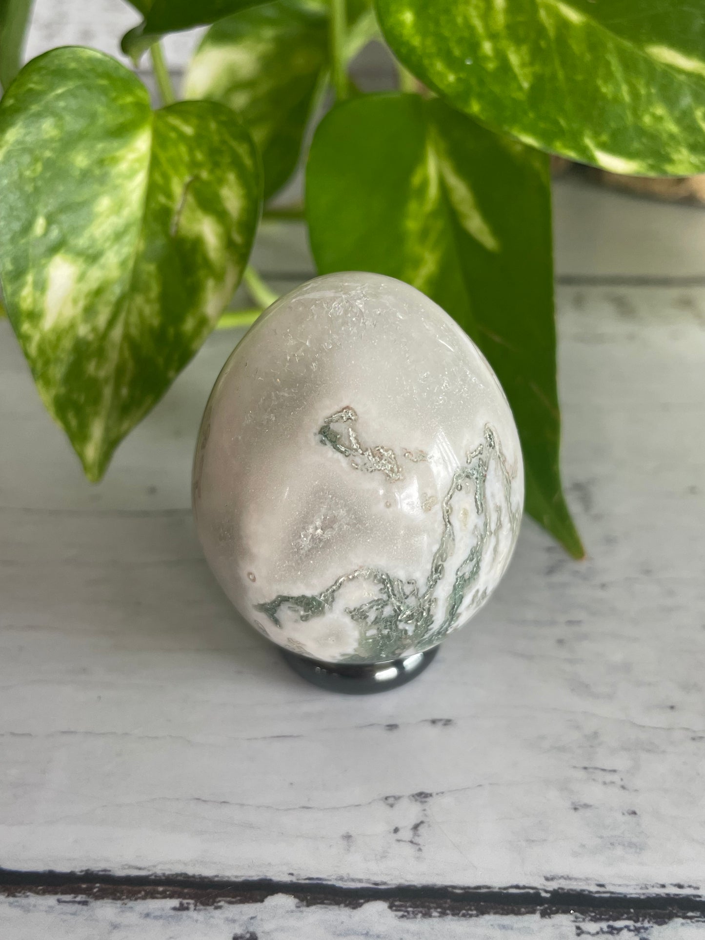 Tree Agate Egg with holder