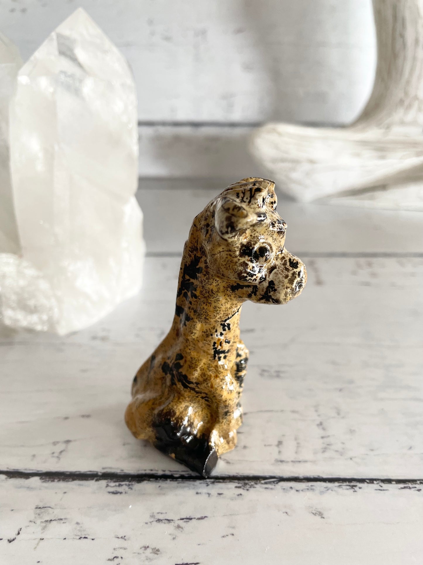Picture Jasper Giraffe ~ 3