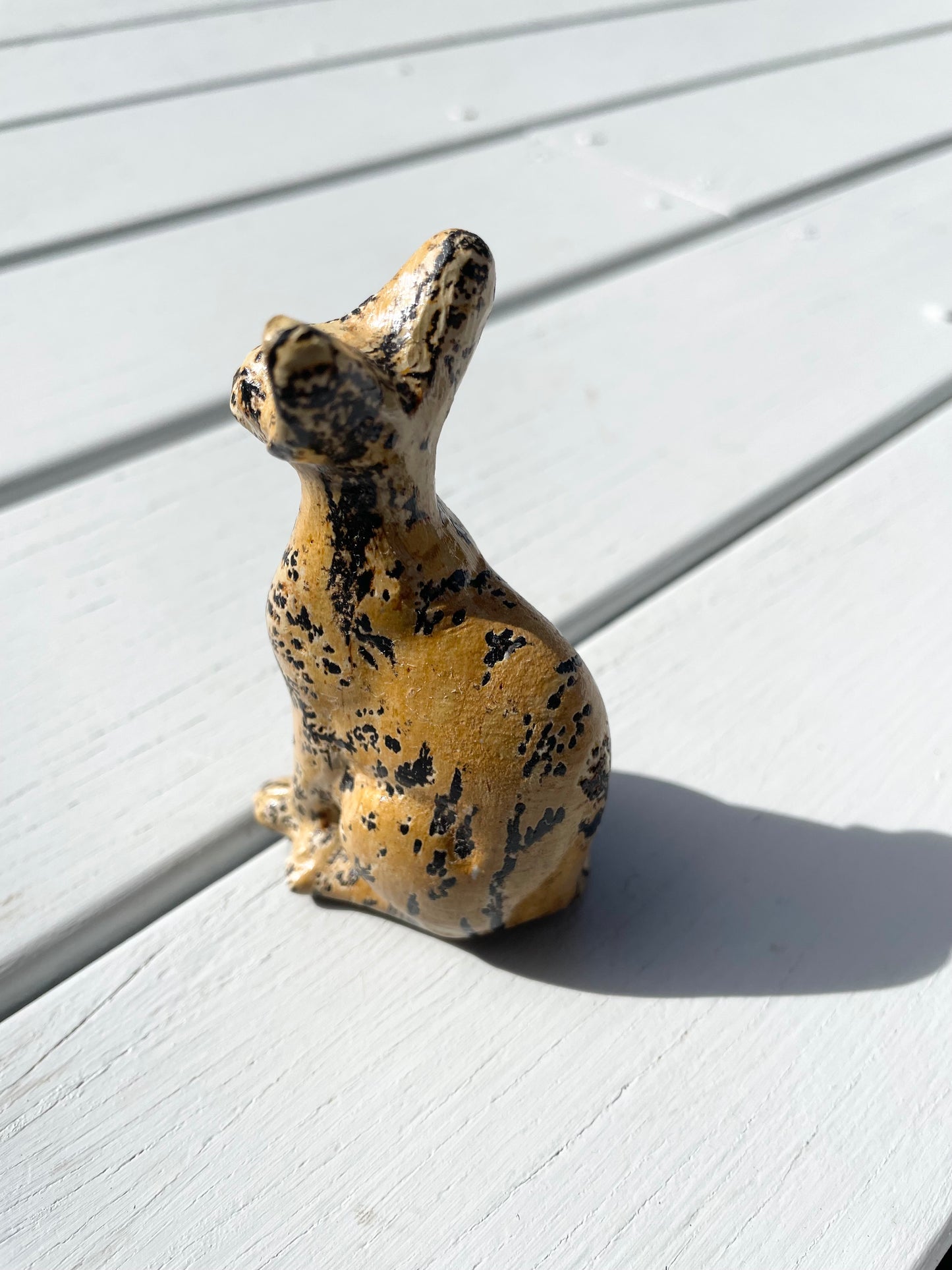 Picture Jasper Cat