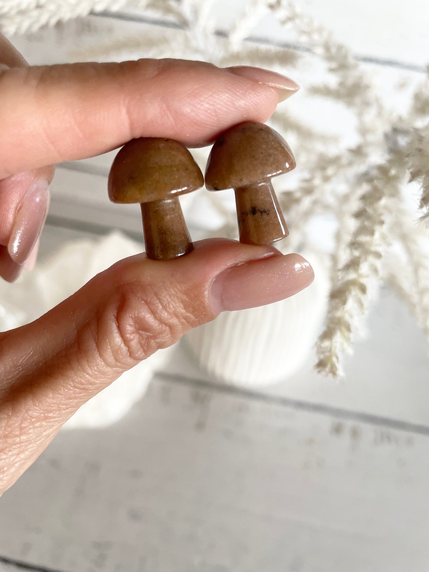 Intuitively chosen ~ Jasper Mushroom