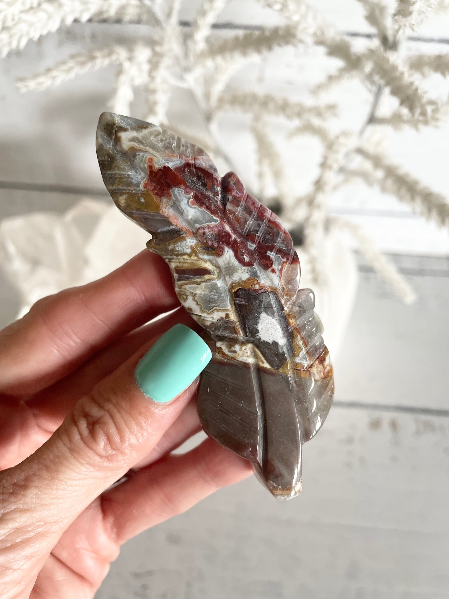 Mexican Crazy Lace Agate feather