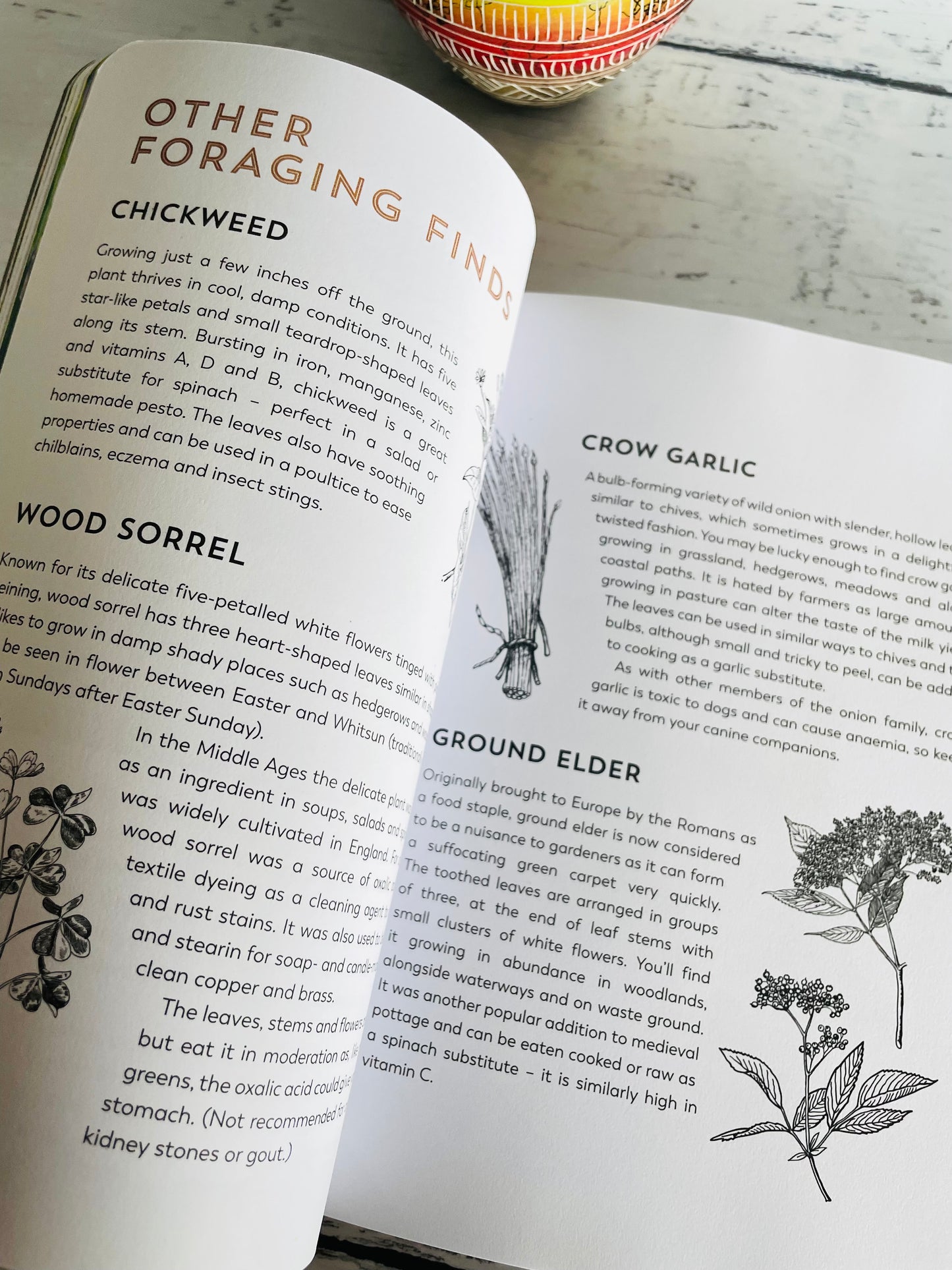 The Hedgerow Apothecary Forager's Handbook