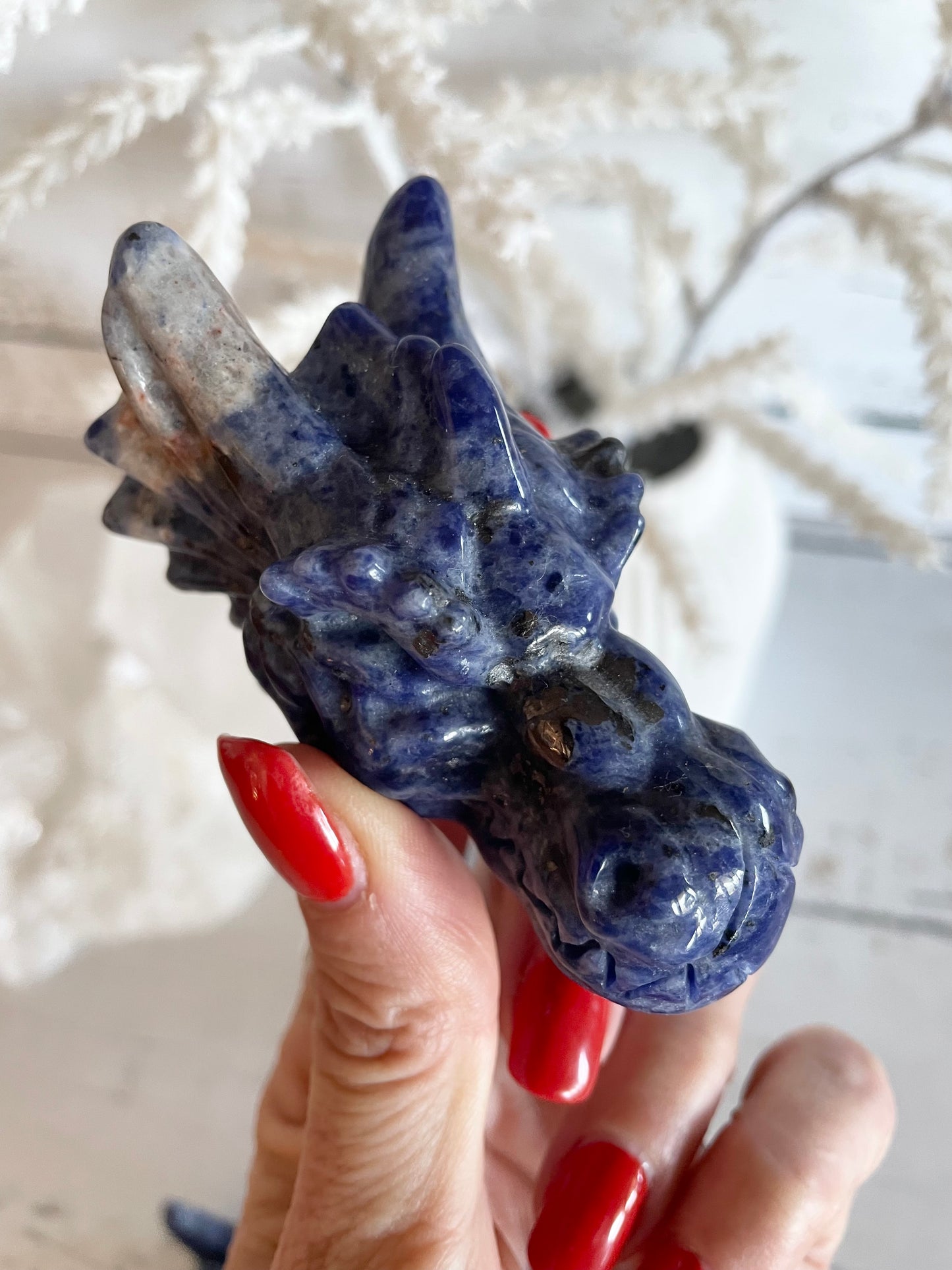 Sodalite Dragon Skull