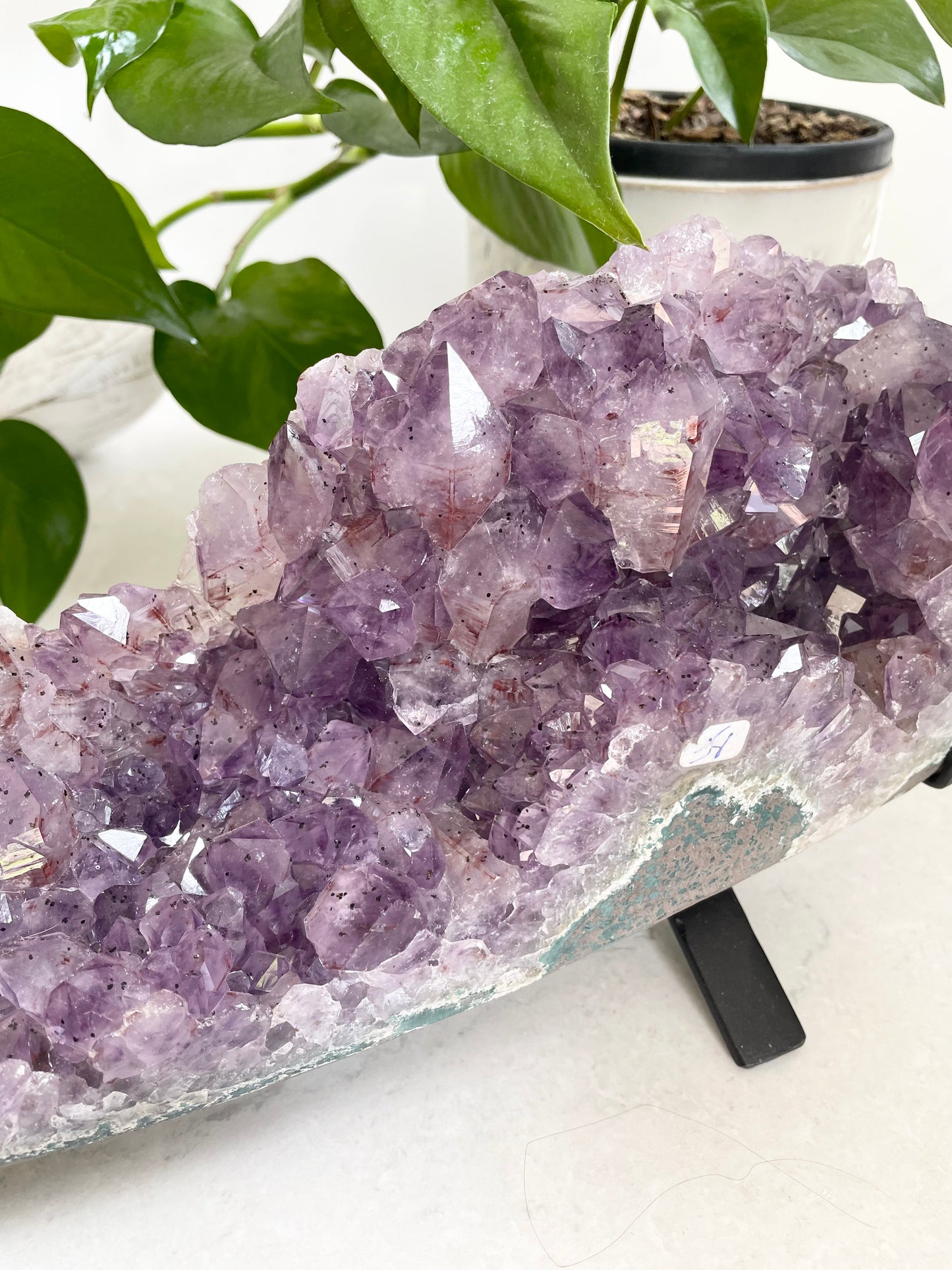 Amethyst Cluster Table Topper ~ 3.9kgs