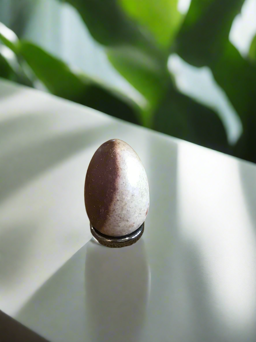 Shiva Narmada Egg with holder