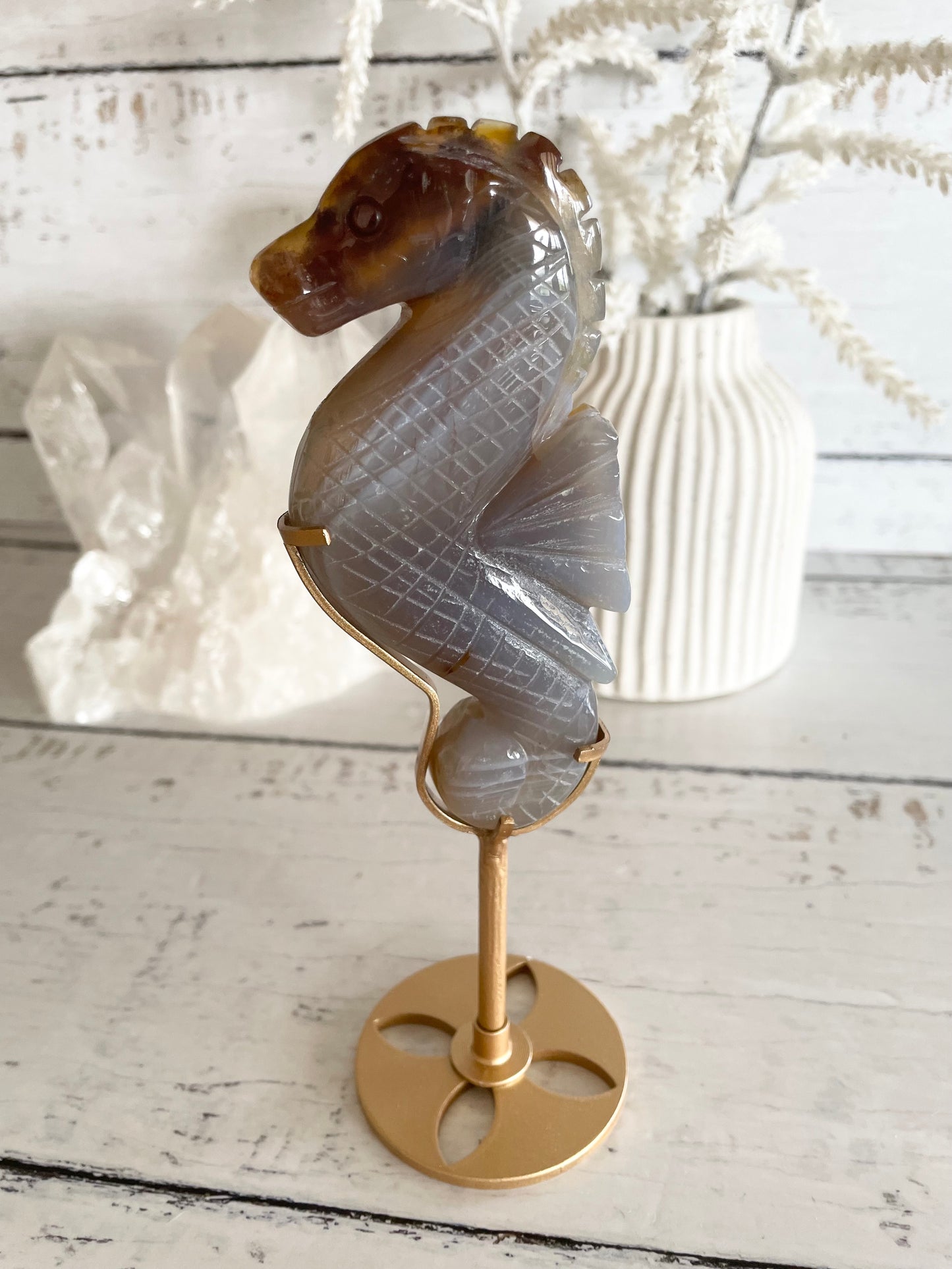 Seahorse ~ Agate