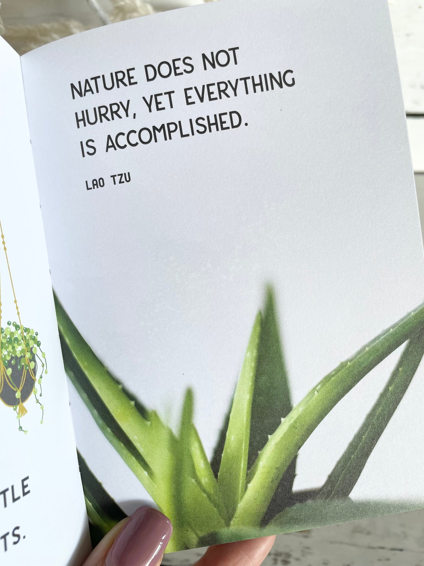 The Little Book for Plant Parents