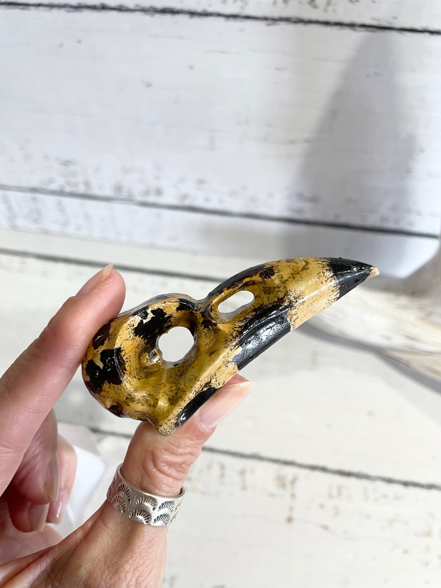 Picture Jasper Raven Skull ~ 9