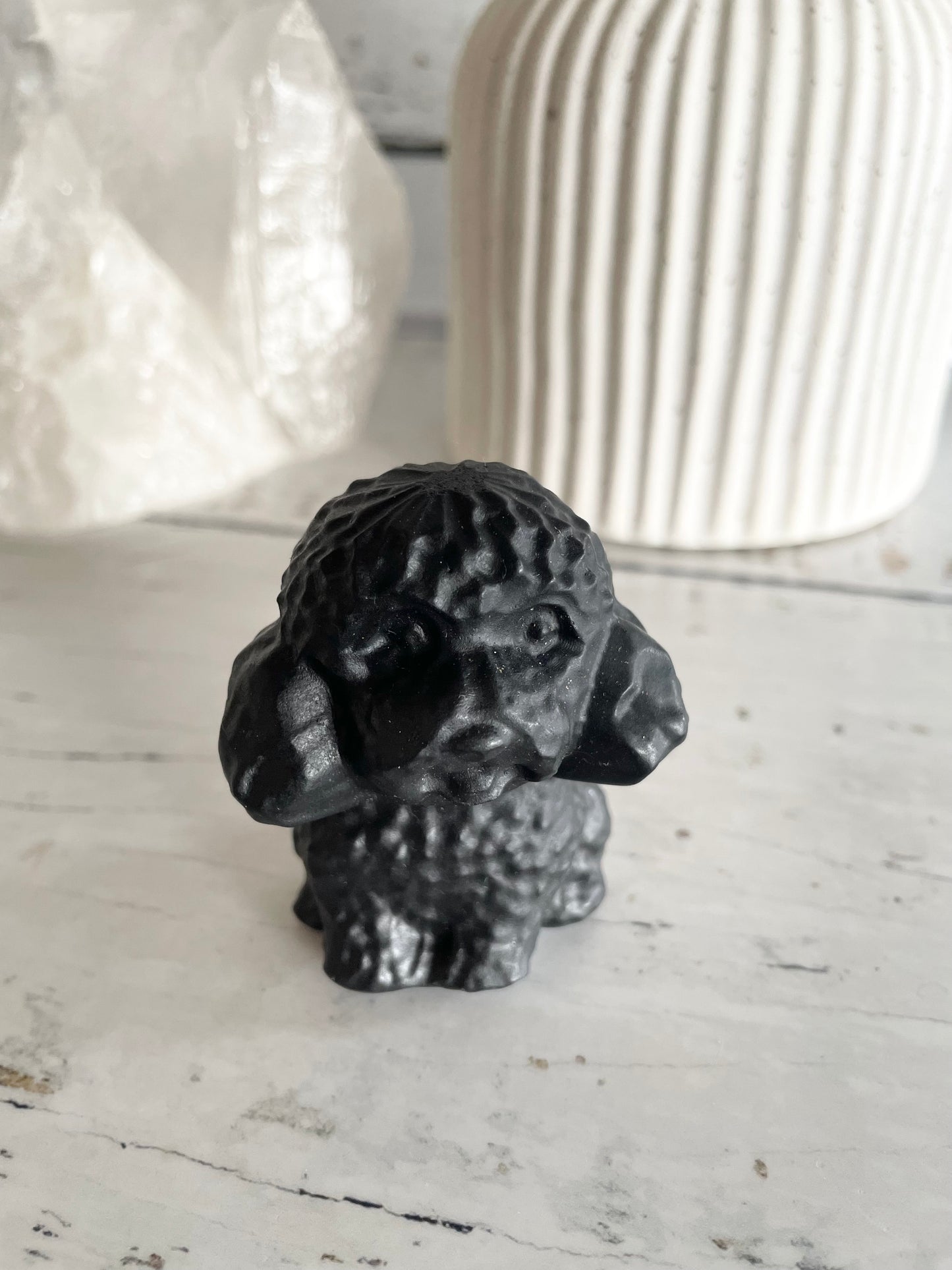 Black Obsidian Dog ~ Poodle (super clever)