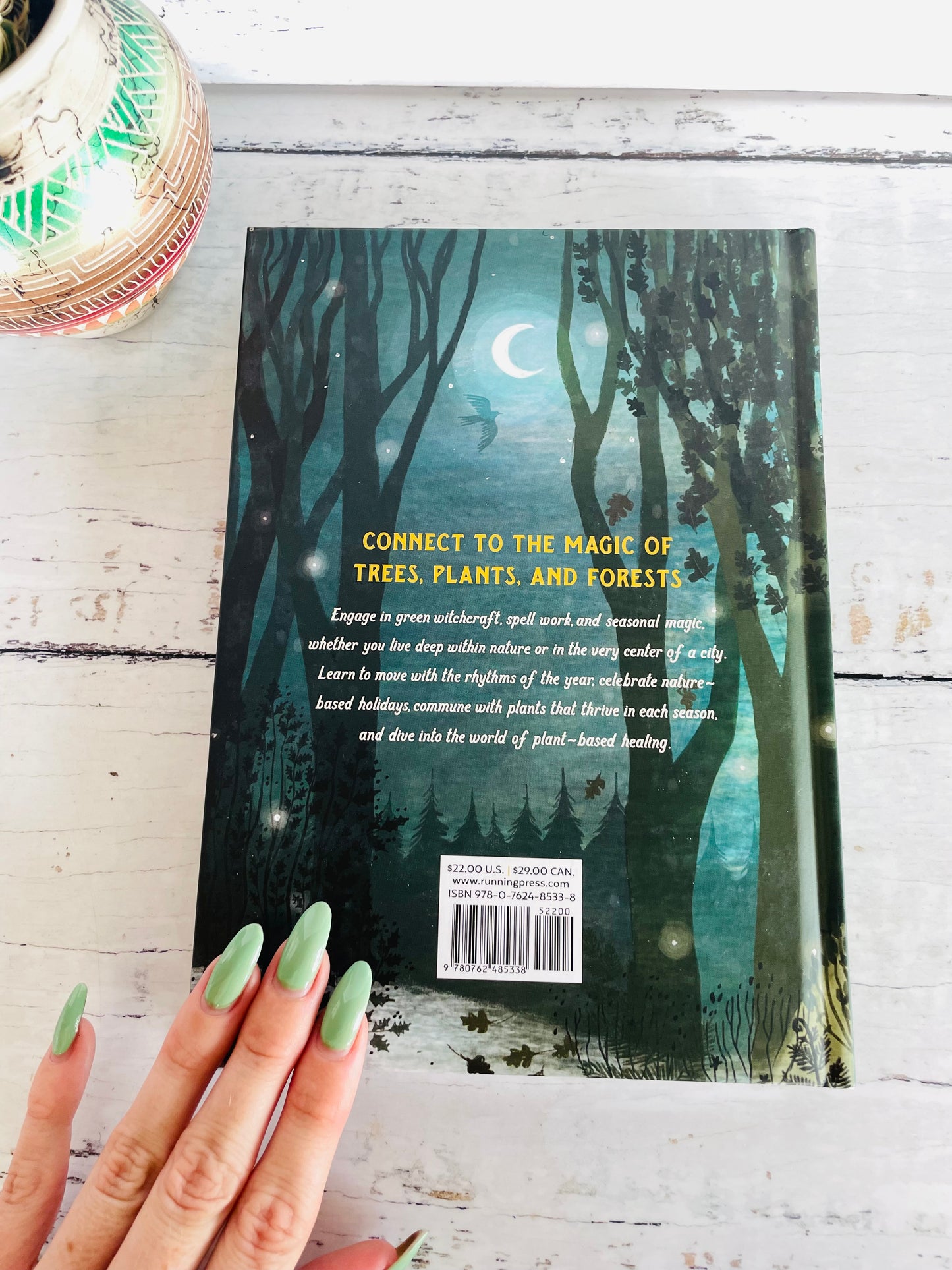 Forest Magic