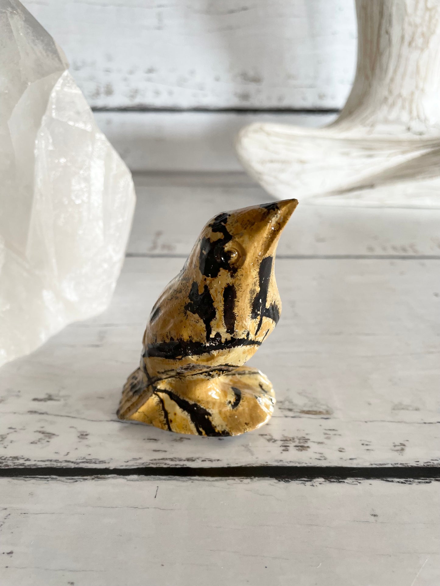 Picture Jasper Robin ~ 12