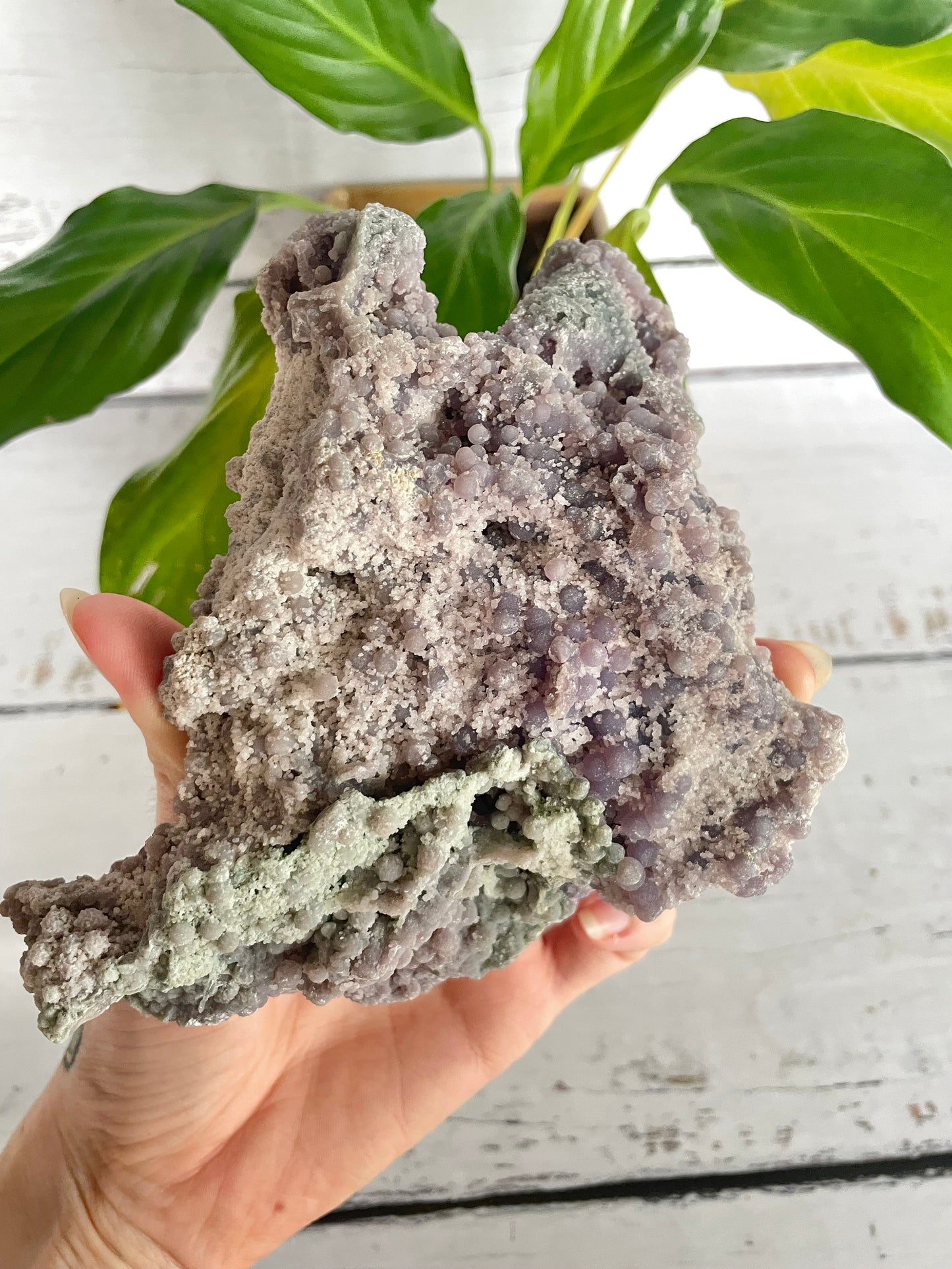Grape Agate /Botryoidal Purple Chalcedony