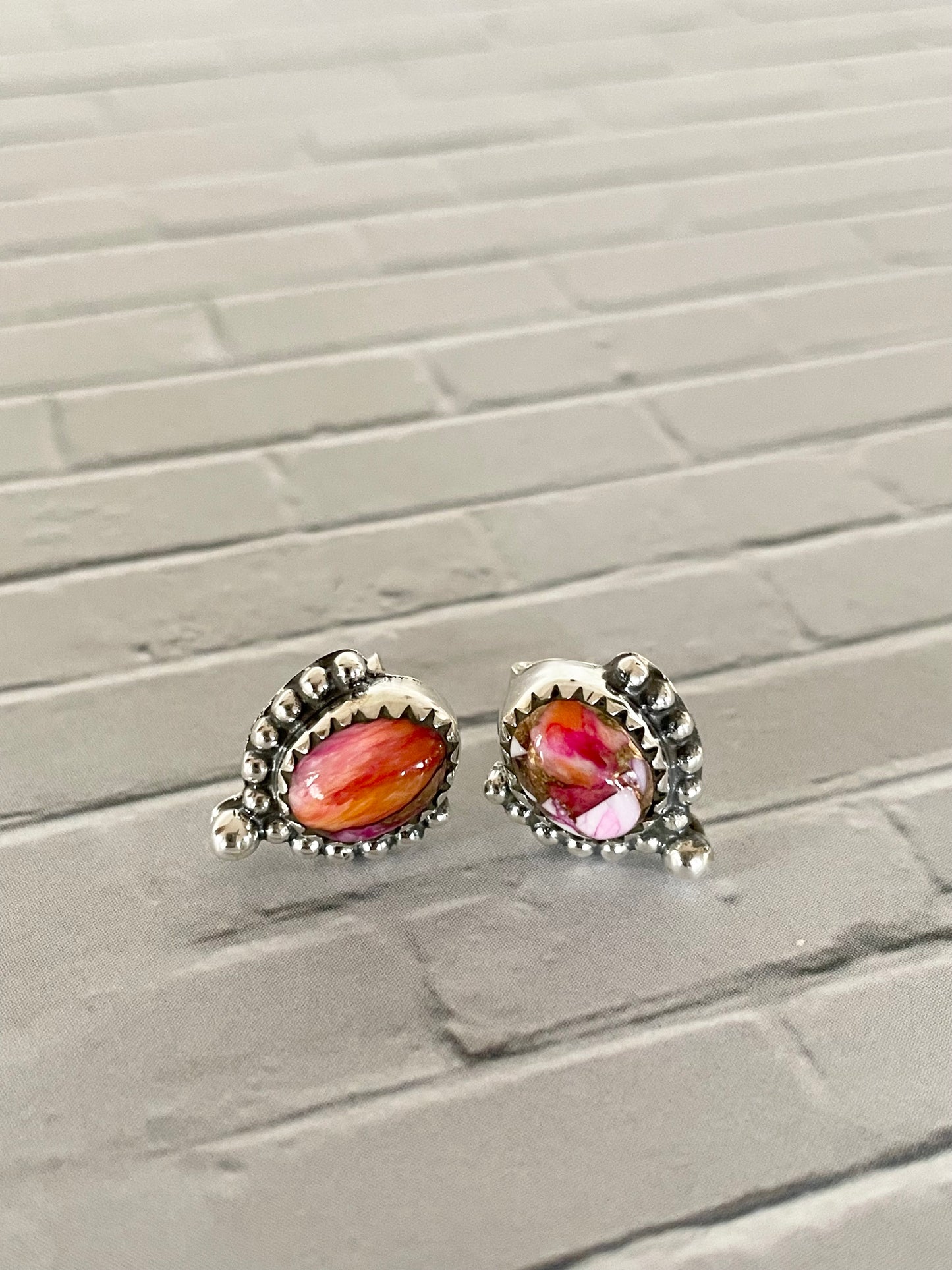 Spiny Oyster Studs