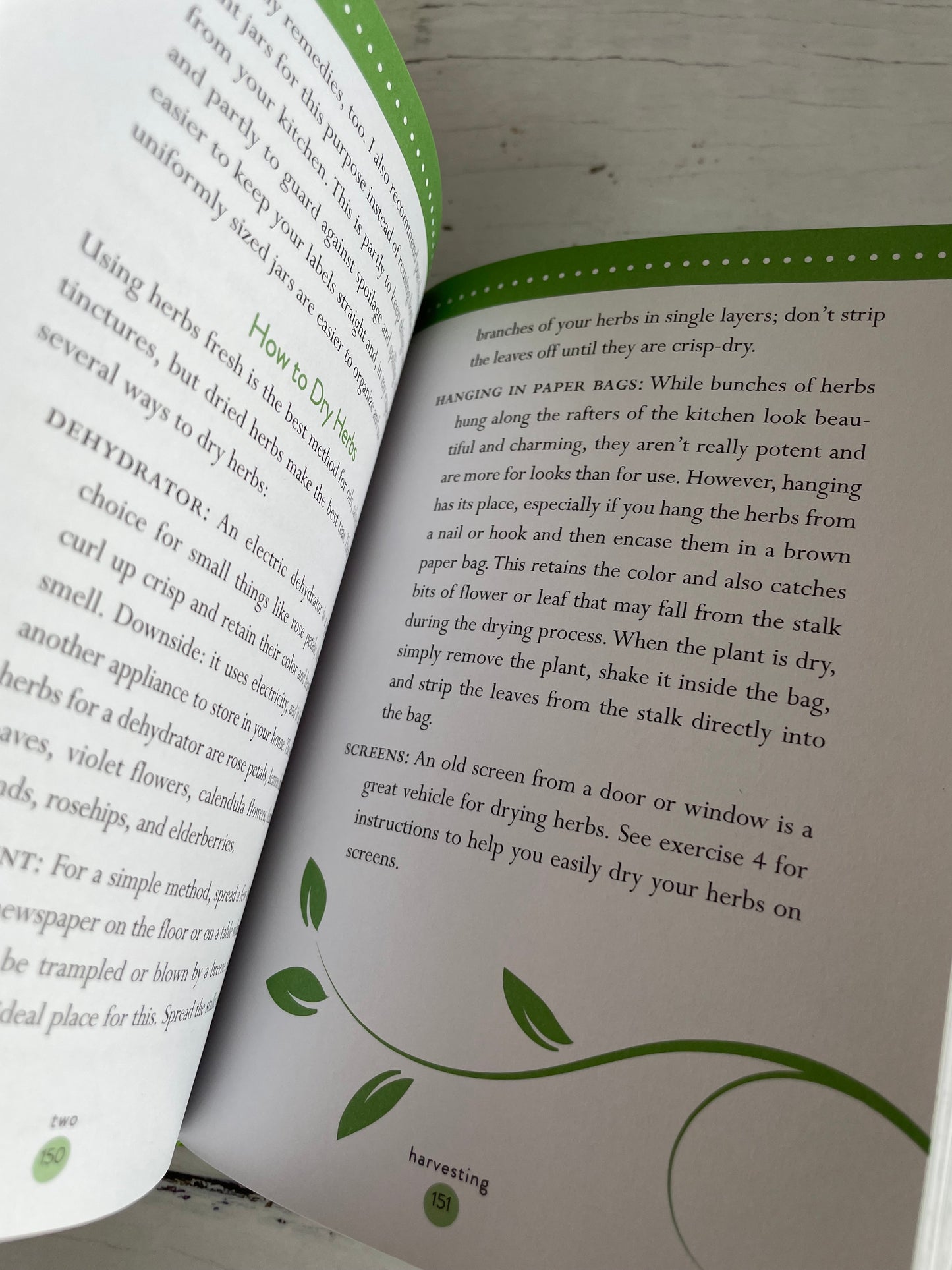 Llewellyn's Little Book of Herbs