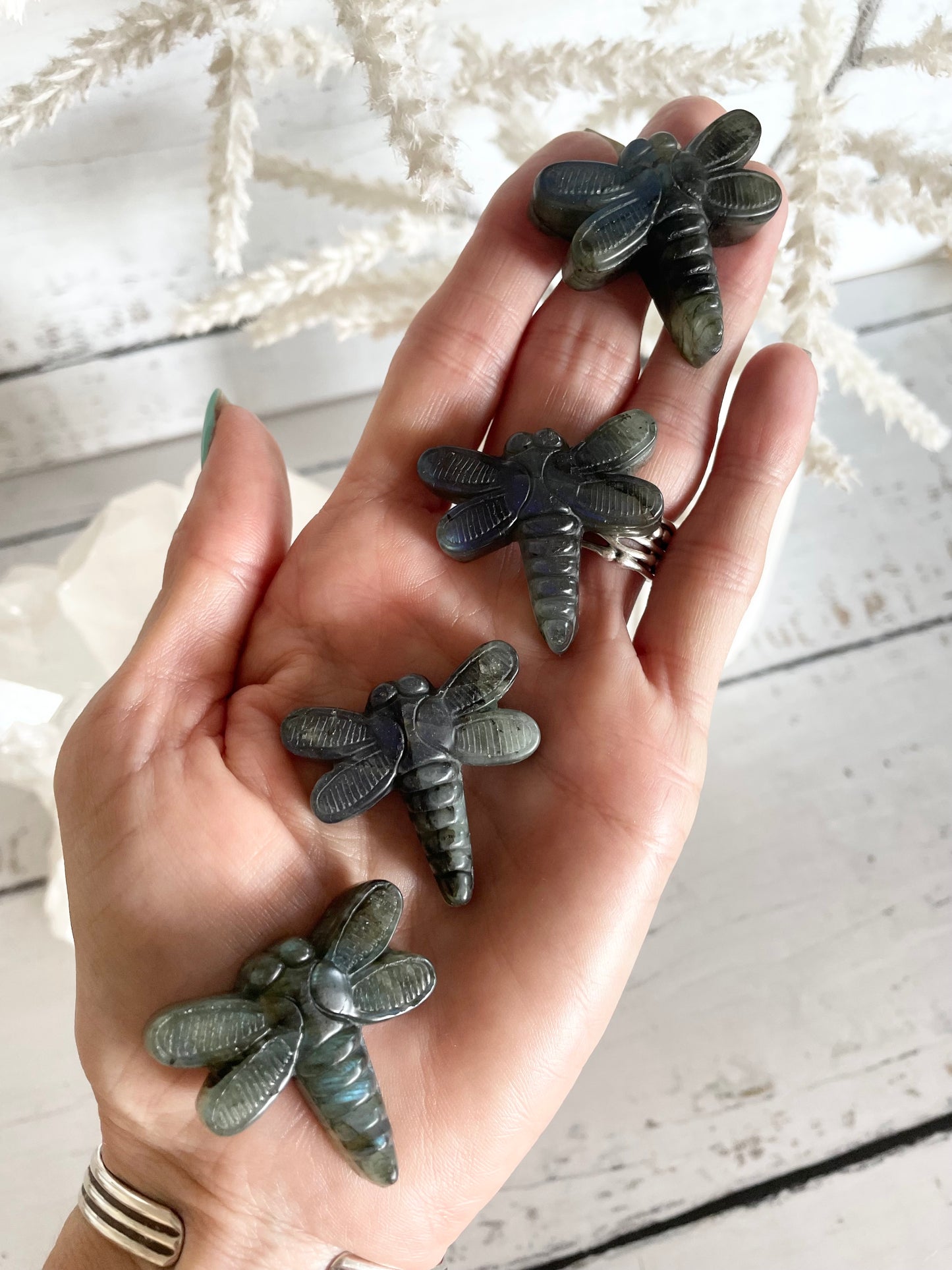 Intuitively Chosen ~ Dragonfly