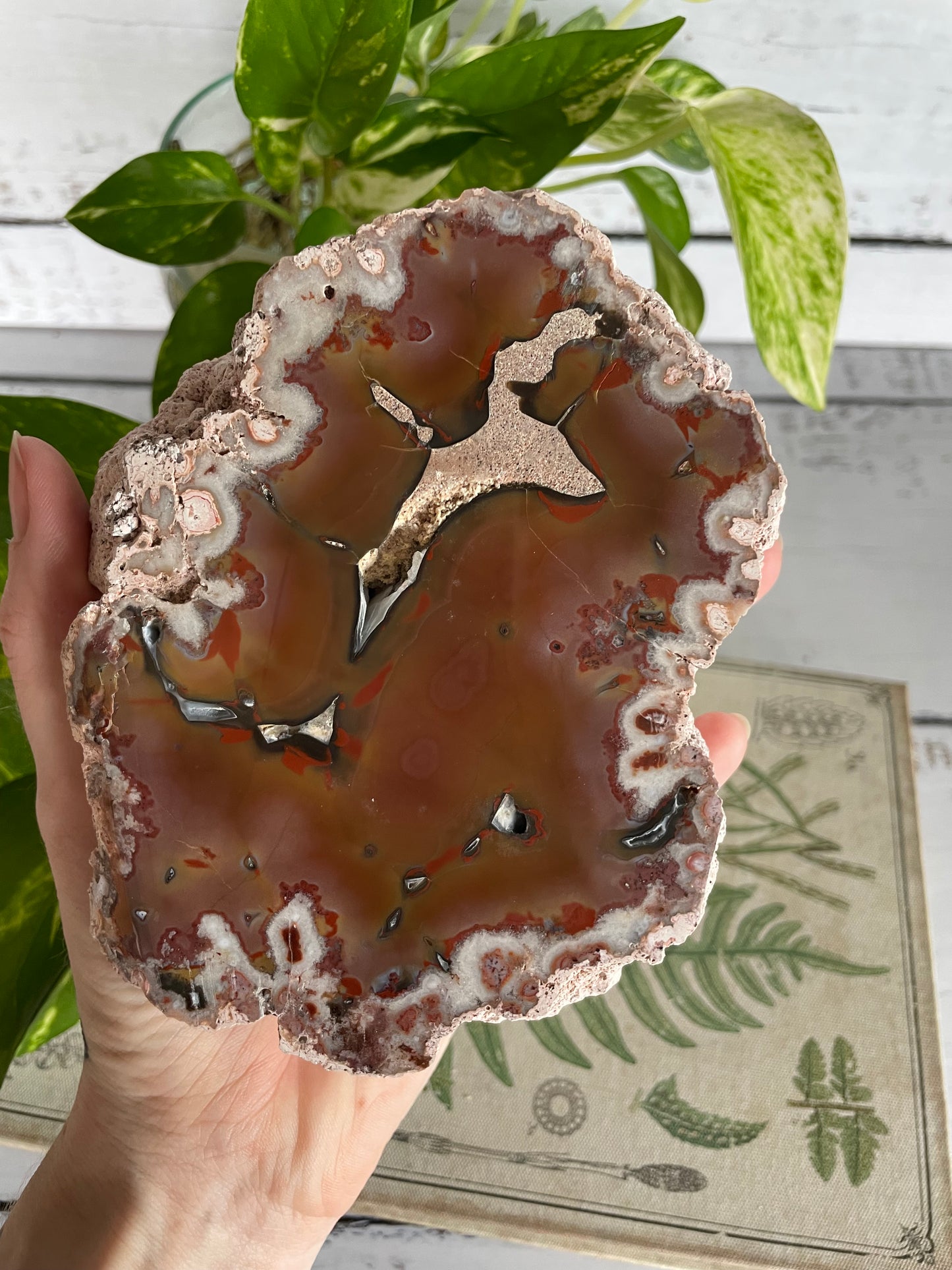 Agate Patagonia Thunder Egg