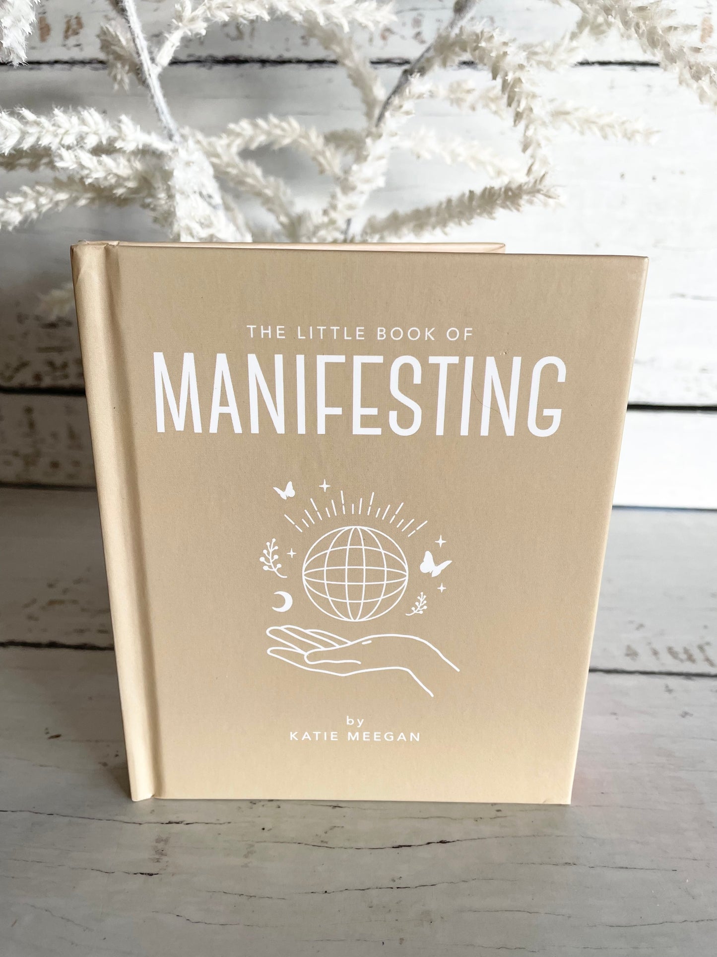 The Little Book of Manifesting