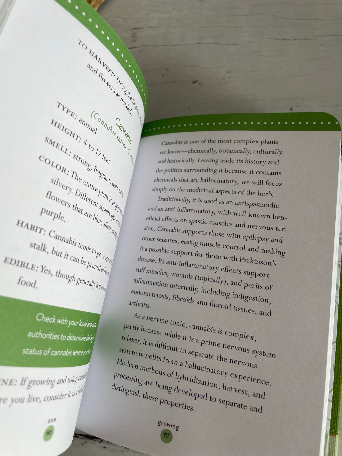 Llewellyn's Little Book of Herbs