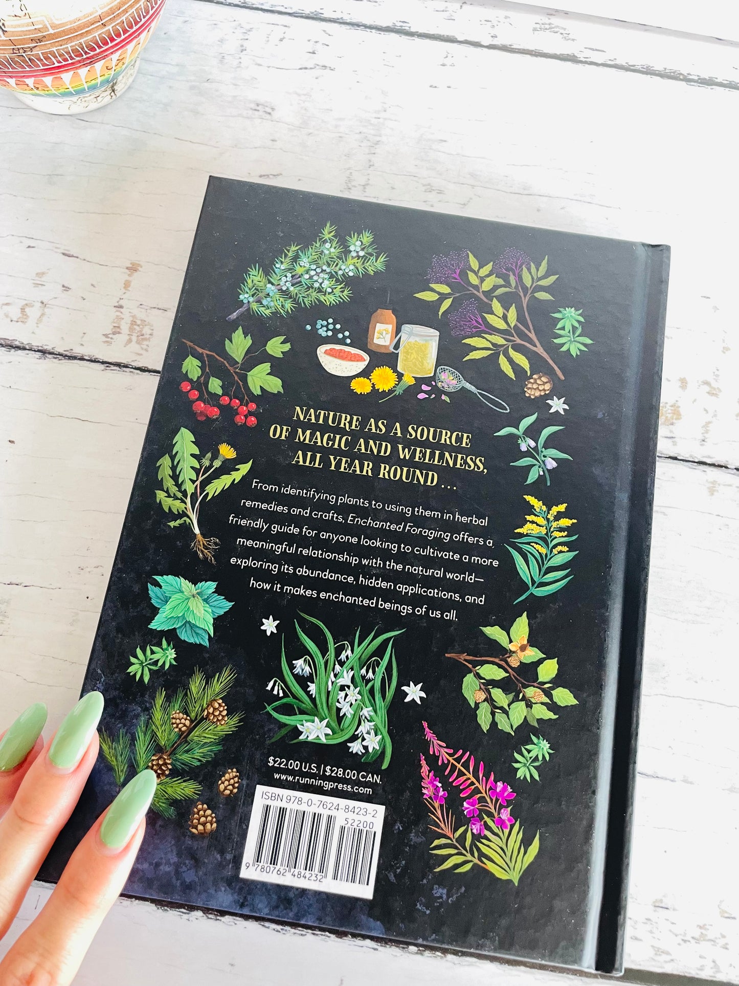 Enchanted Foraging