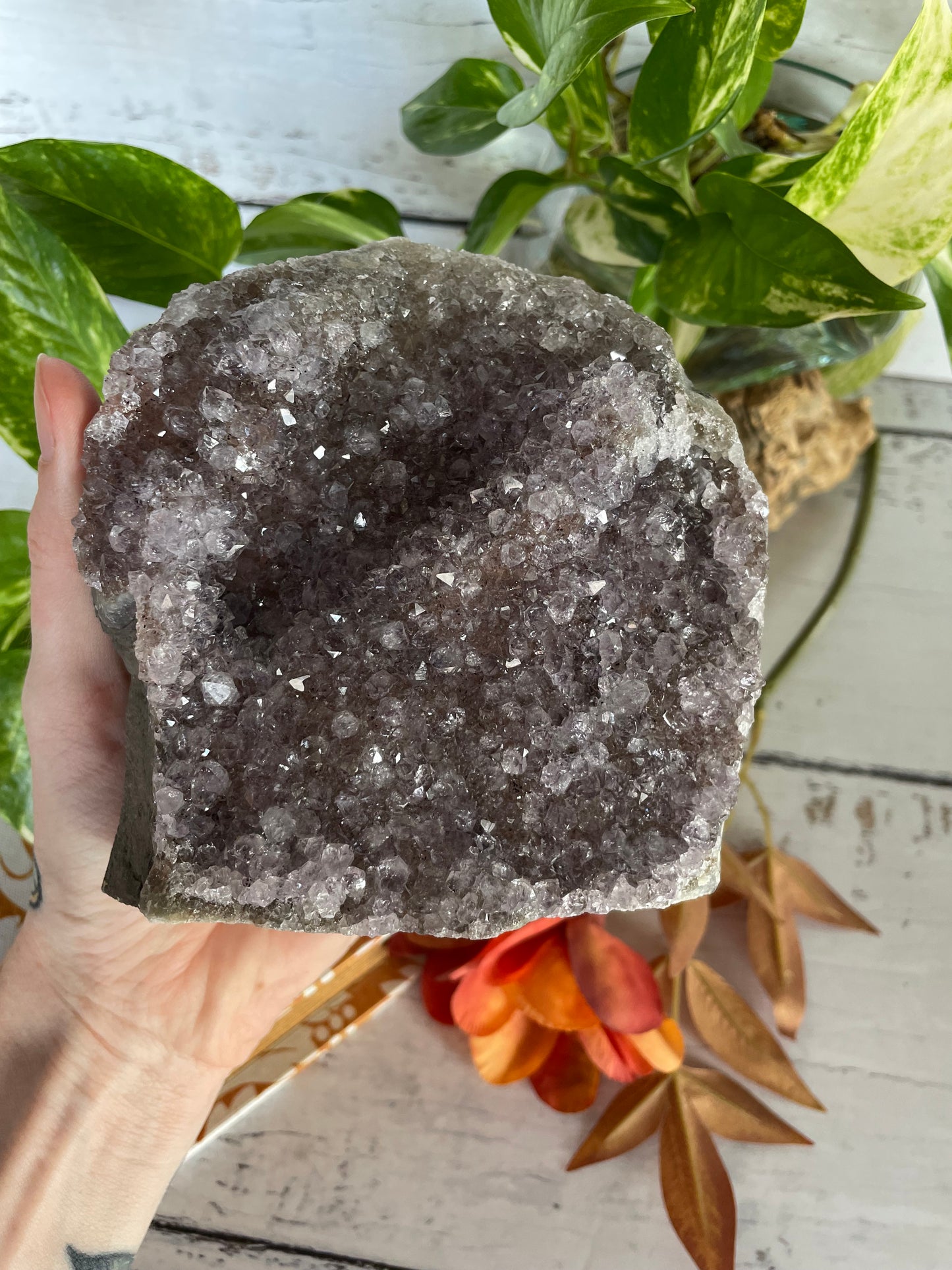 Amethyst Standing Cluster ~ 1.2kgs