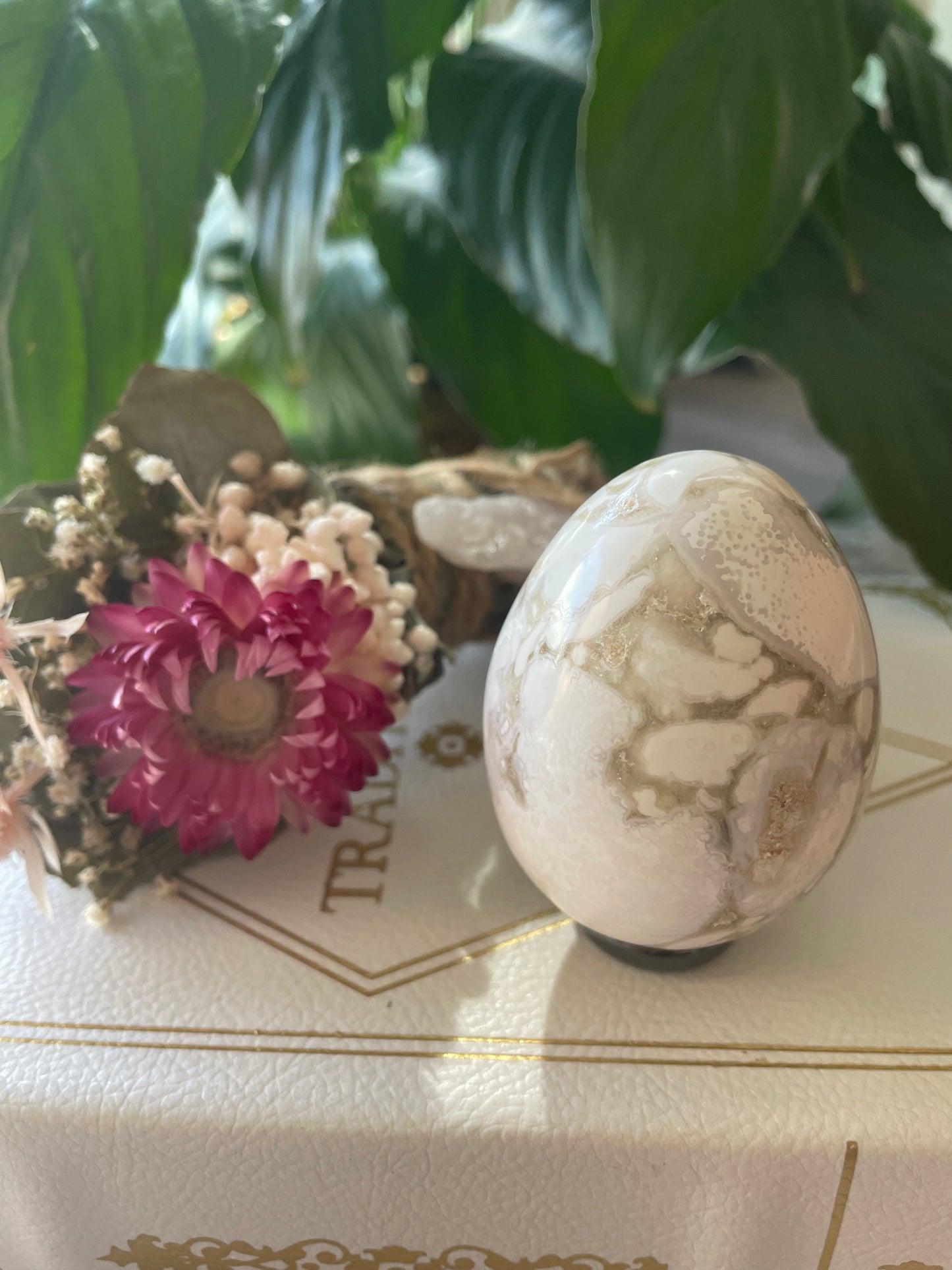 Spotted Agate Egg includes holder