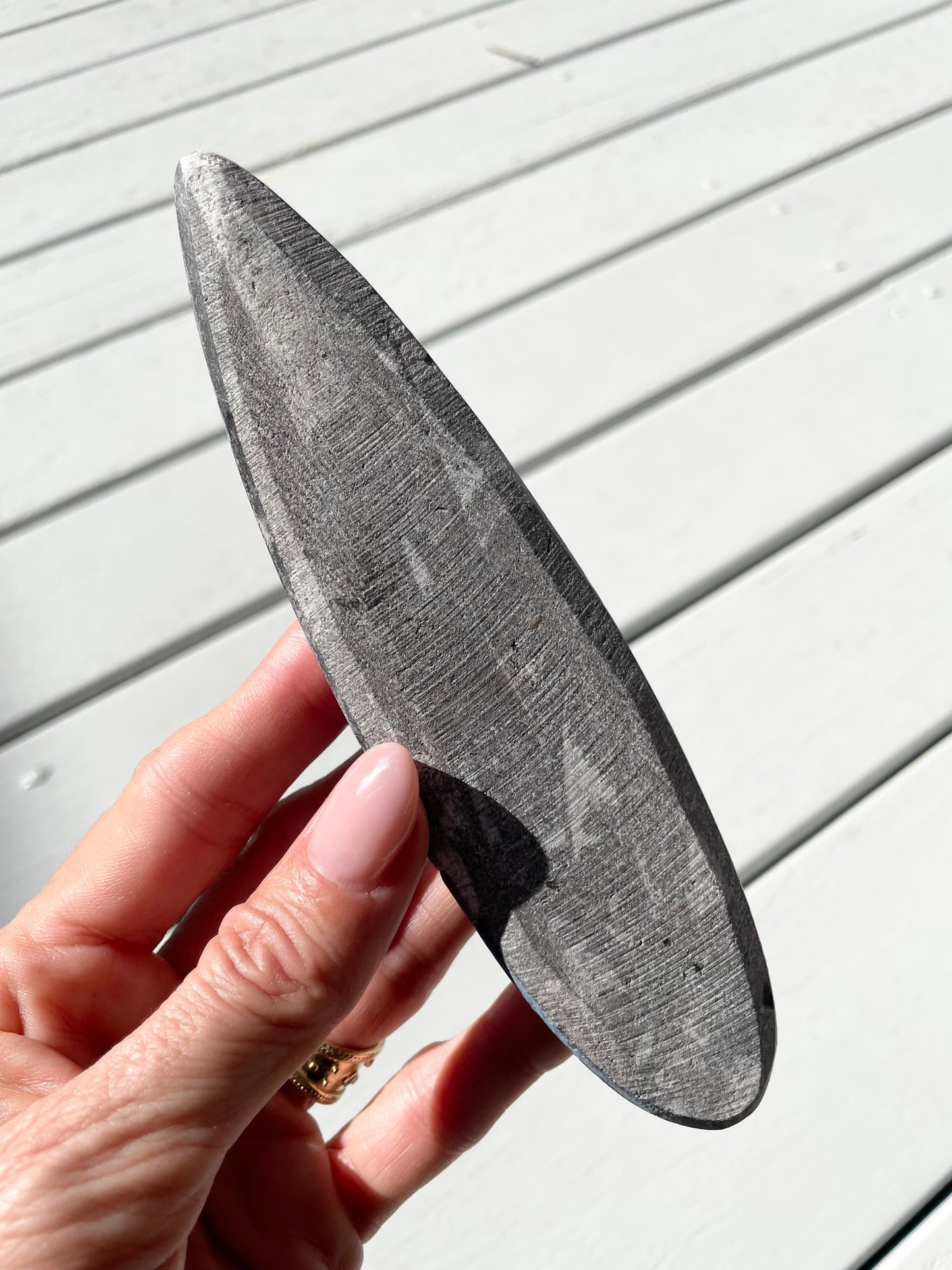 Orthoceras Fossil