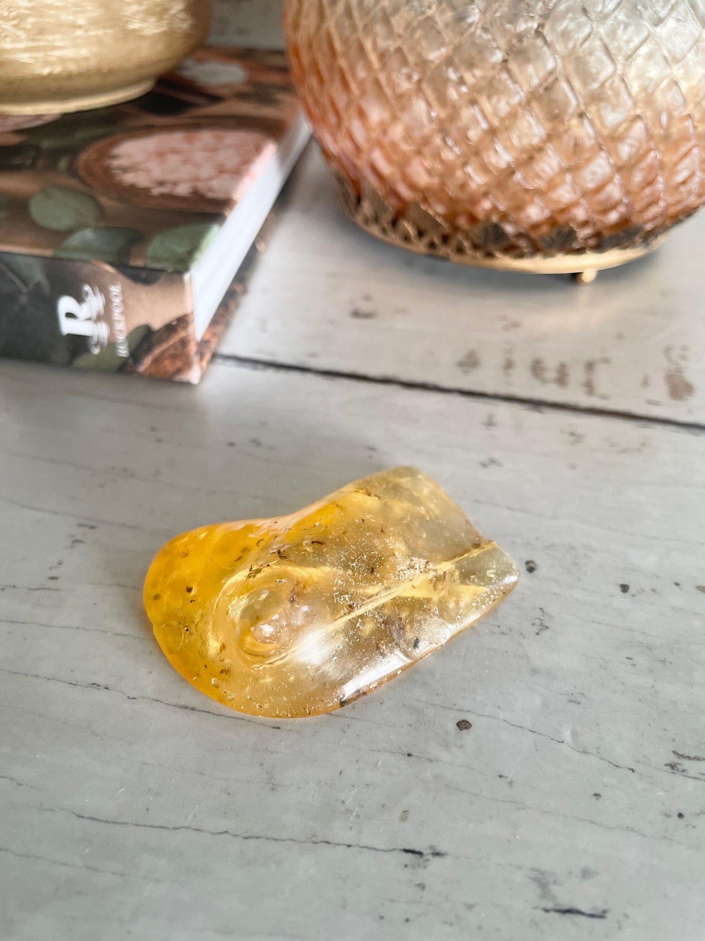 Copal Fossil ~ (young amber) Colombia