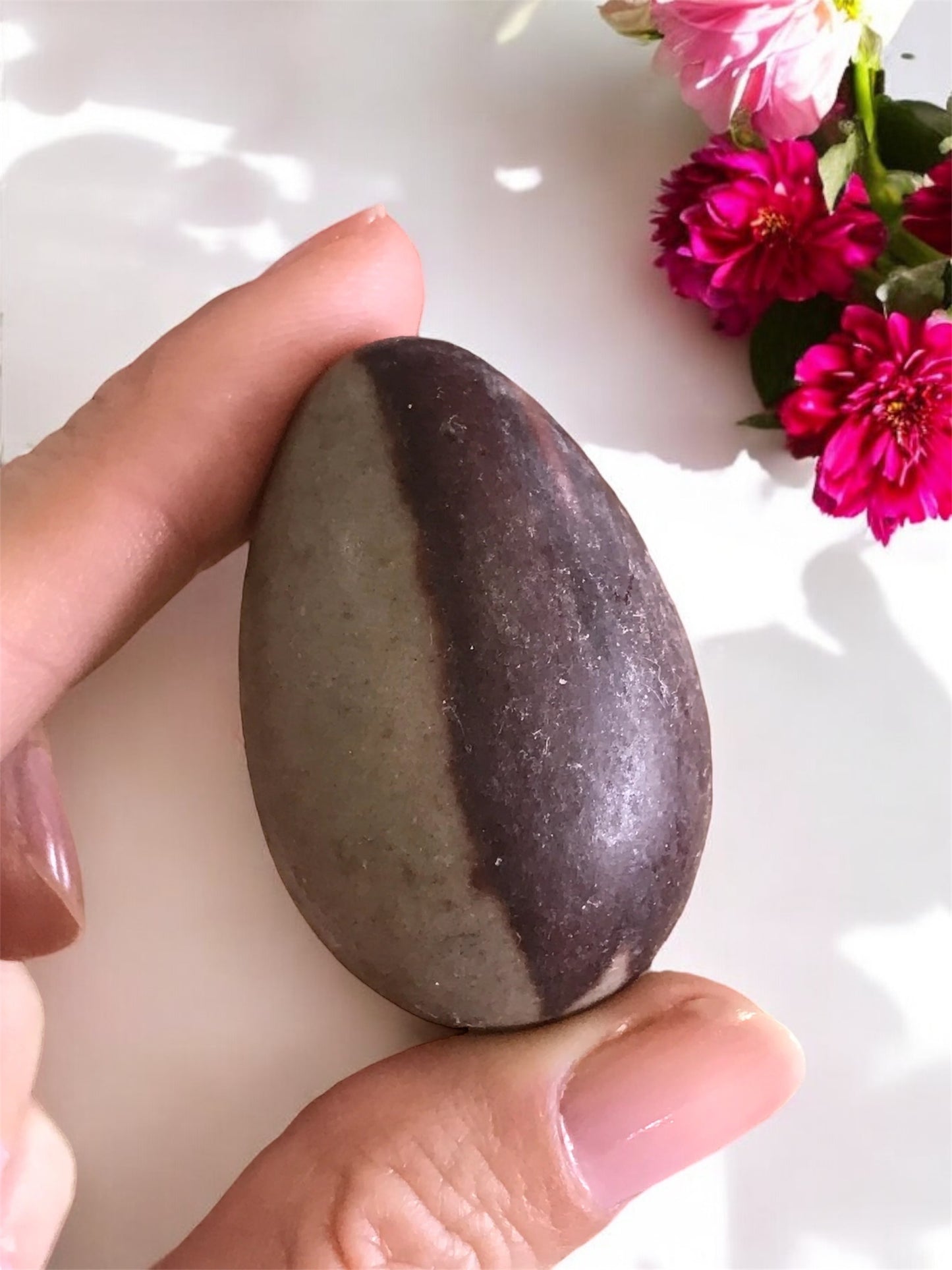 Shiva Narmada Egg with holder
