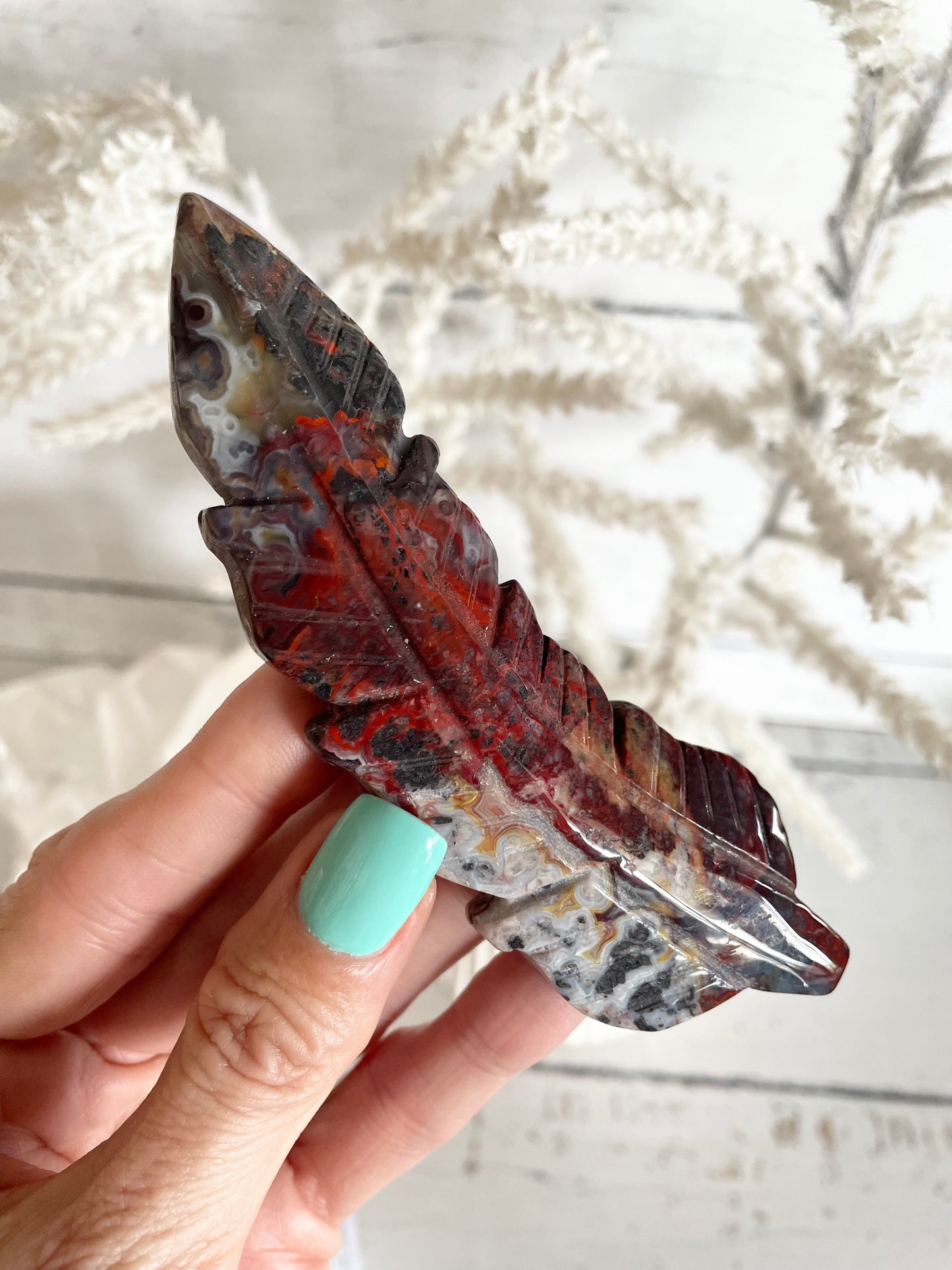Mexican Crazy Lace Agate feather