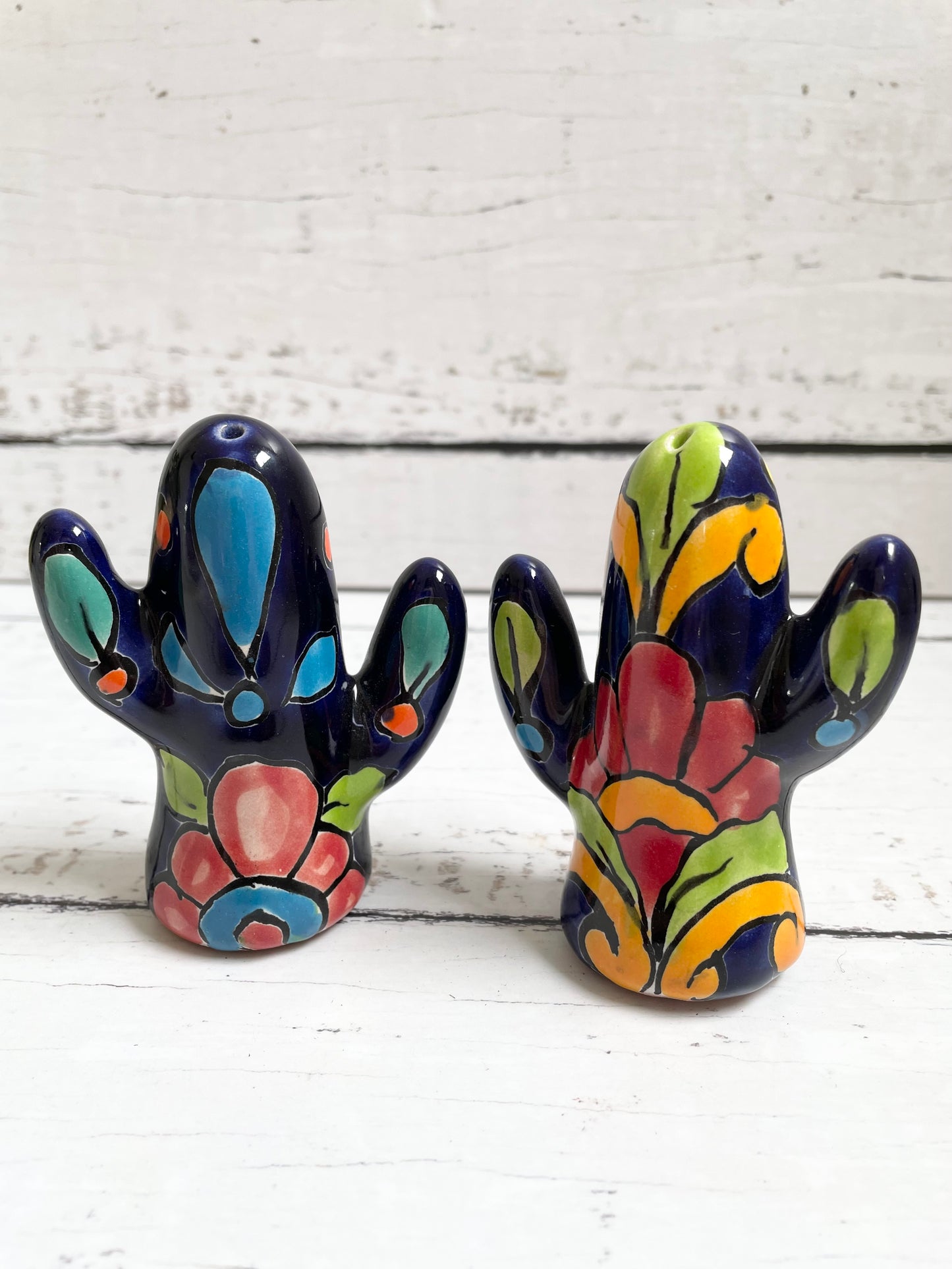 Talavera Pottery Cactus ~ Salt/Pepper Set