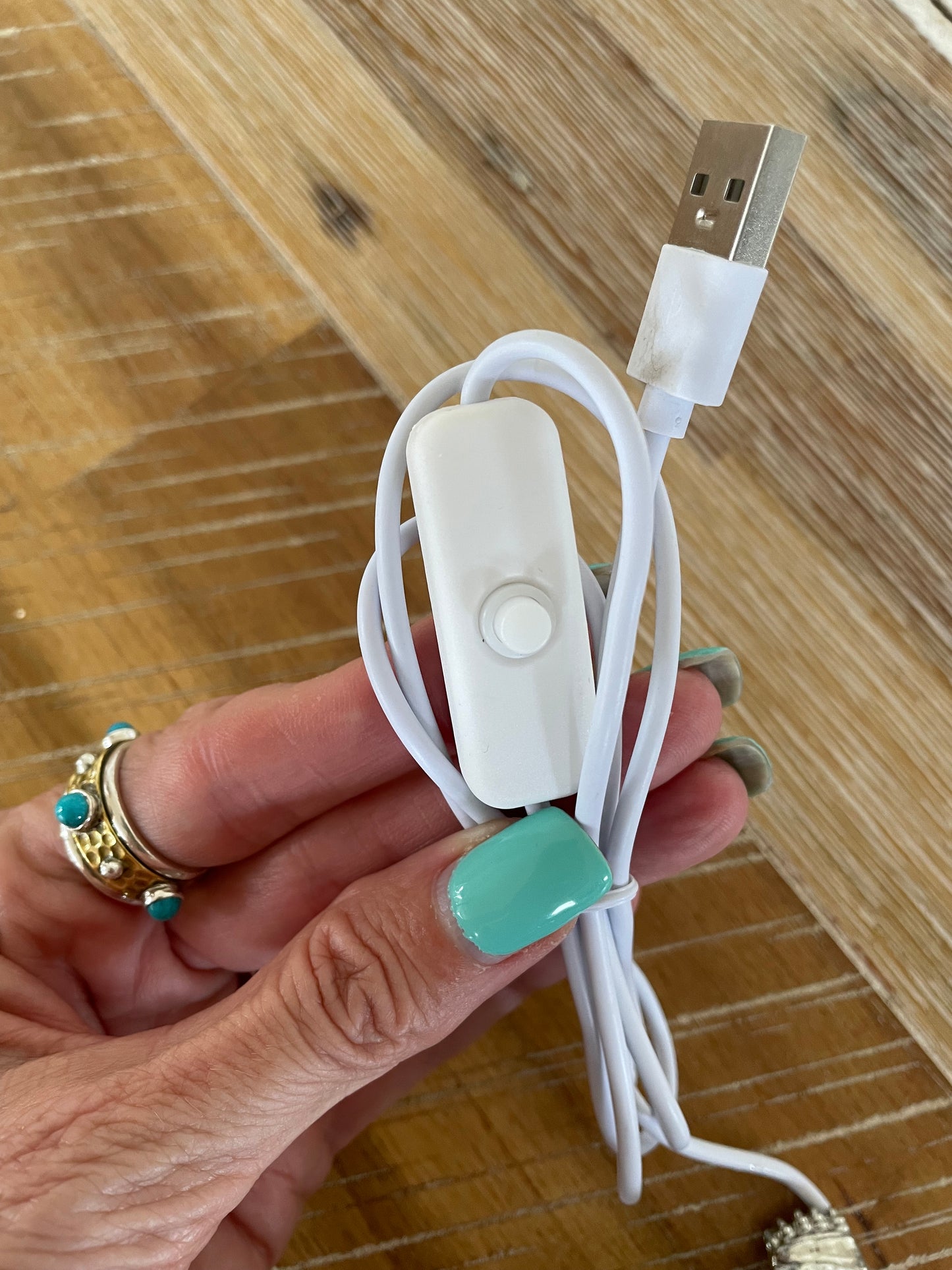 Tortoise Led Lamp ~ Labradorite