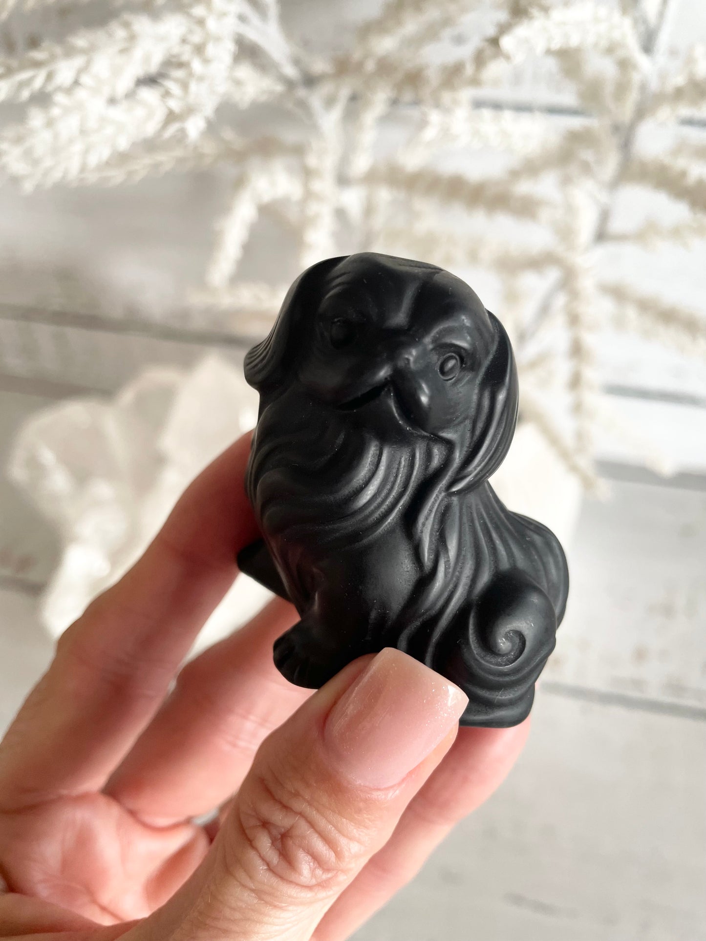 Black Obsidian Dog ~ Cavalier (flowing fur)